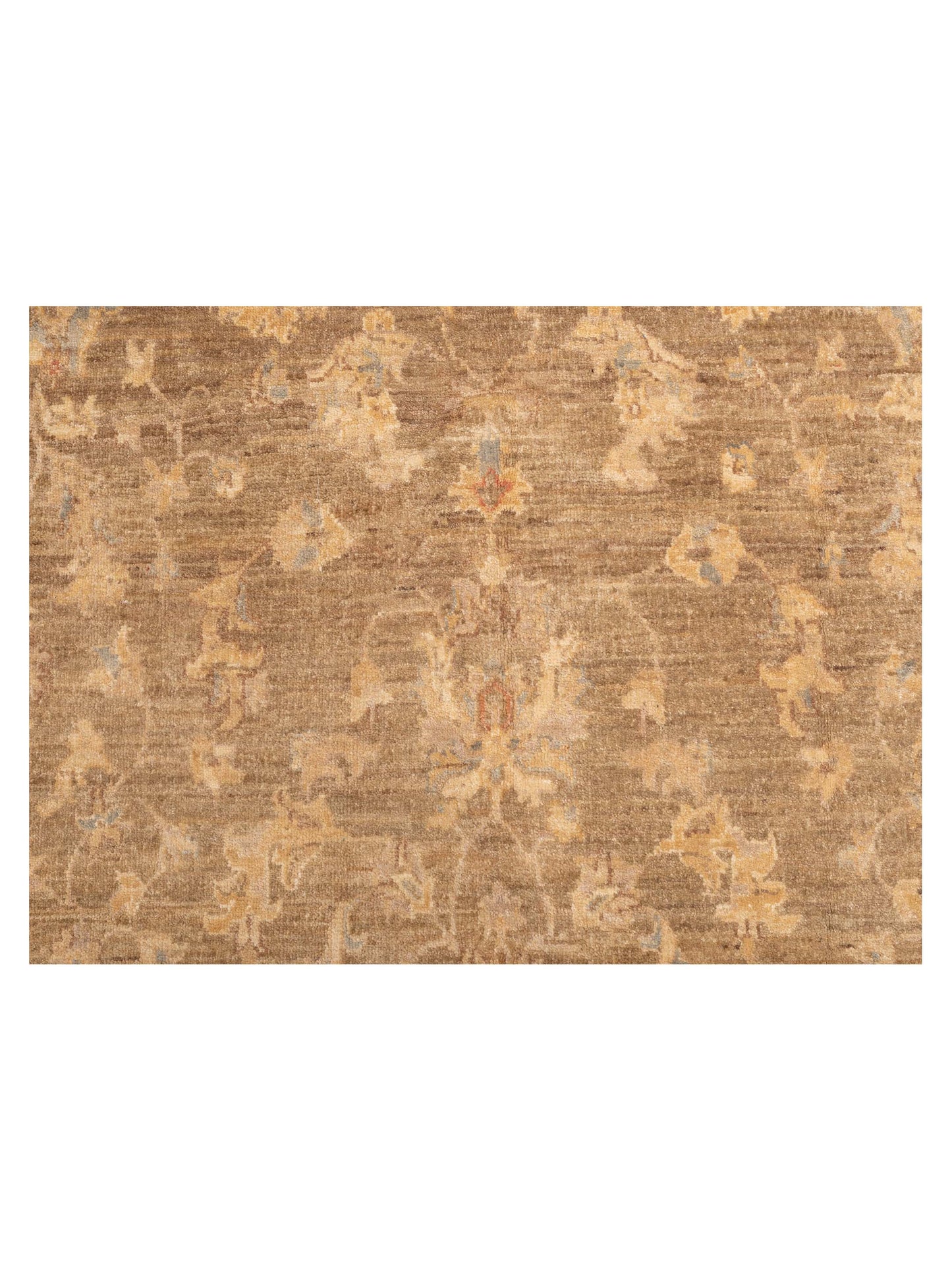 Sultan 116789 Green Beige 4.9x6.5 Hand Knotted Rug