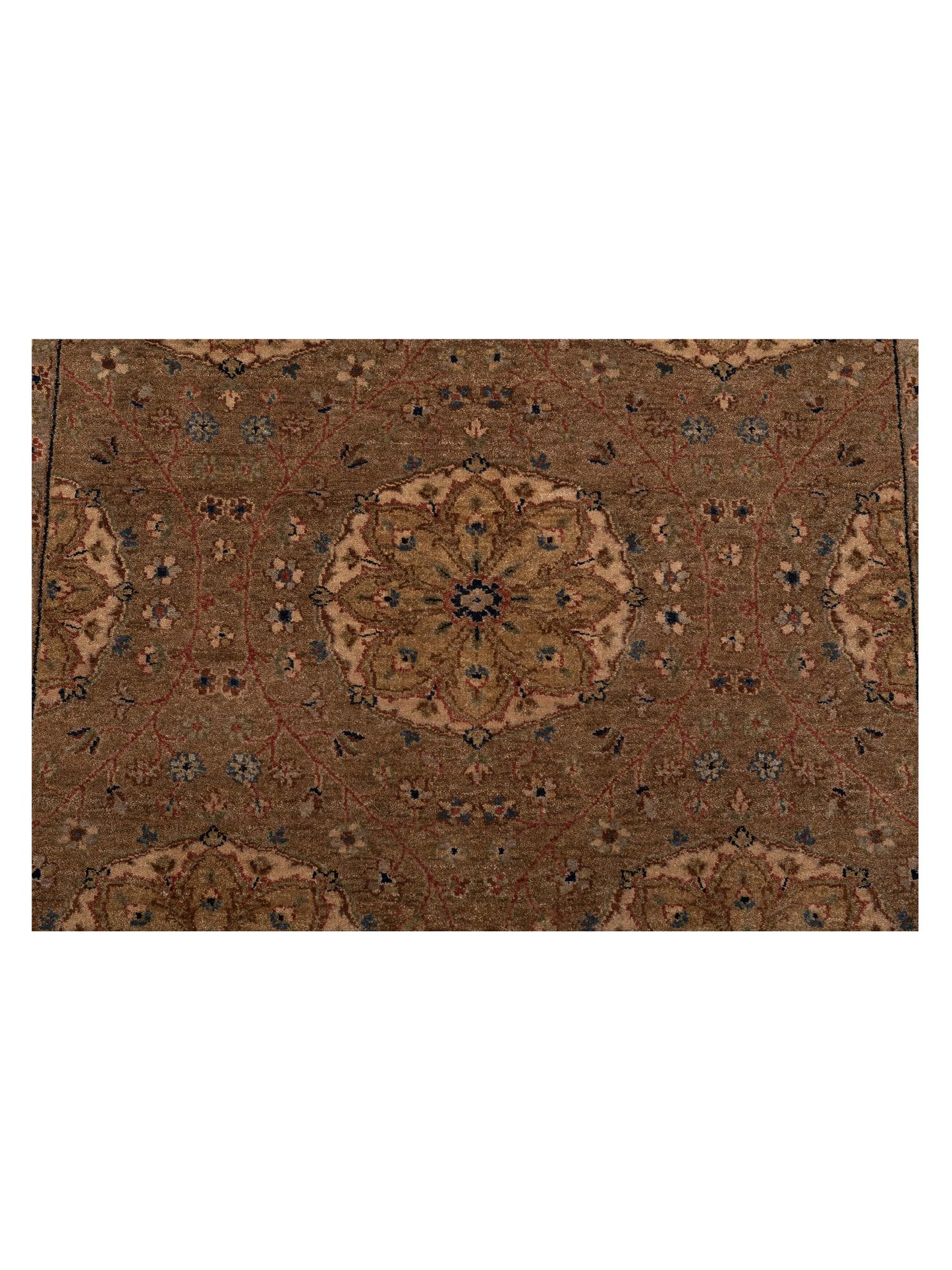 Platinum 117246 Green Terracotta 4.1x6 Hand Knotted Rug