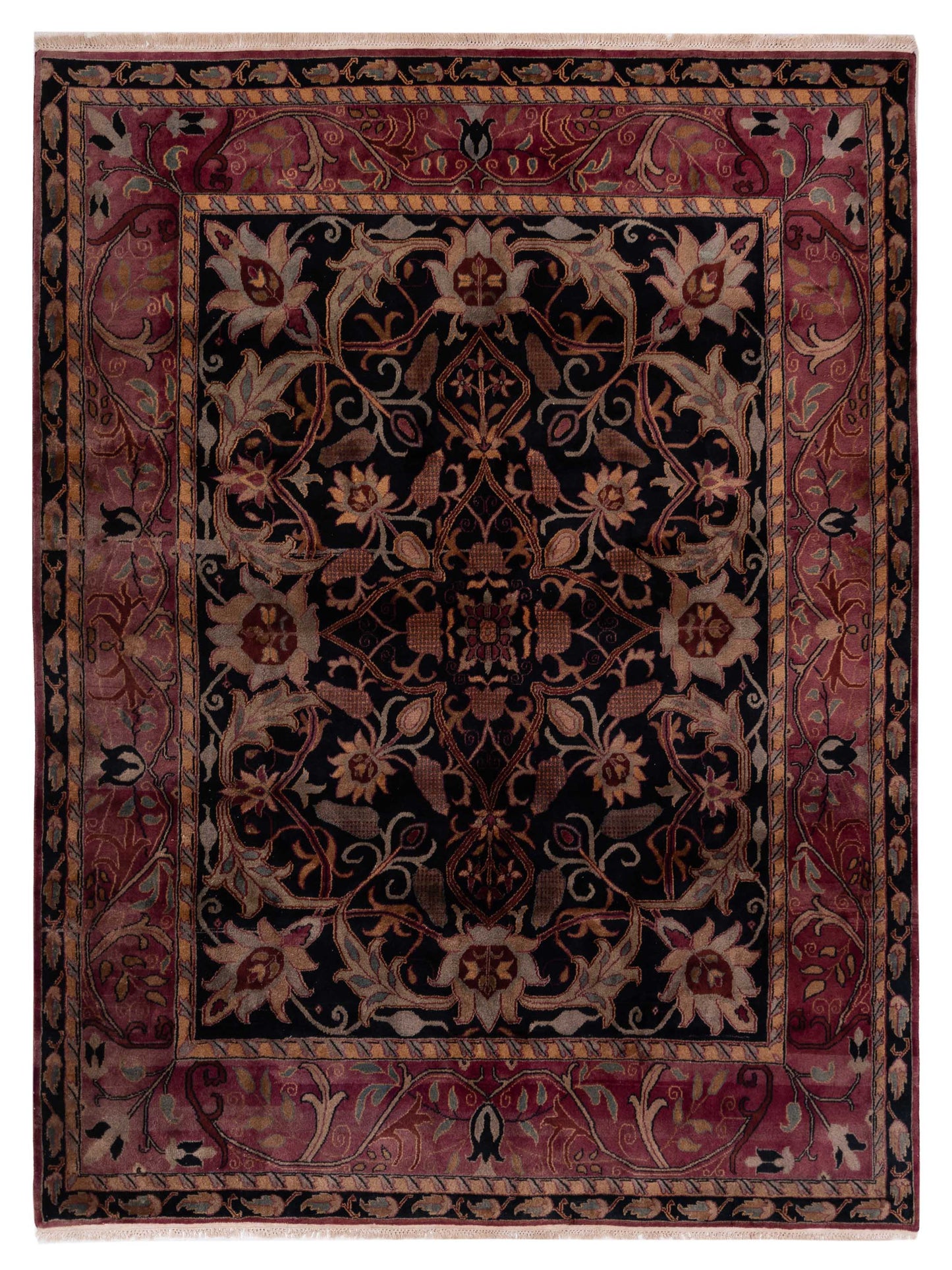 Rajpur Royal Black Plum Traditional