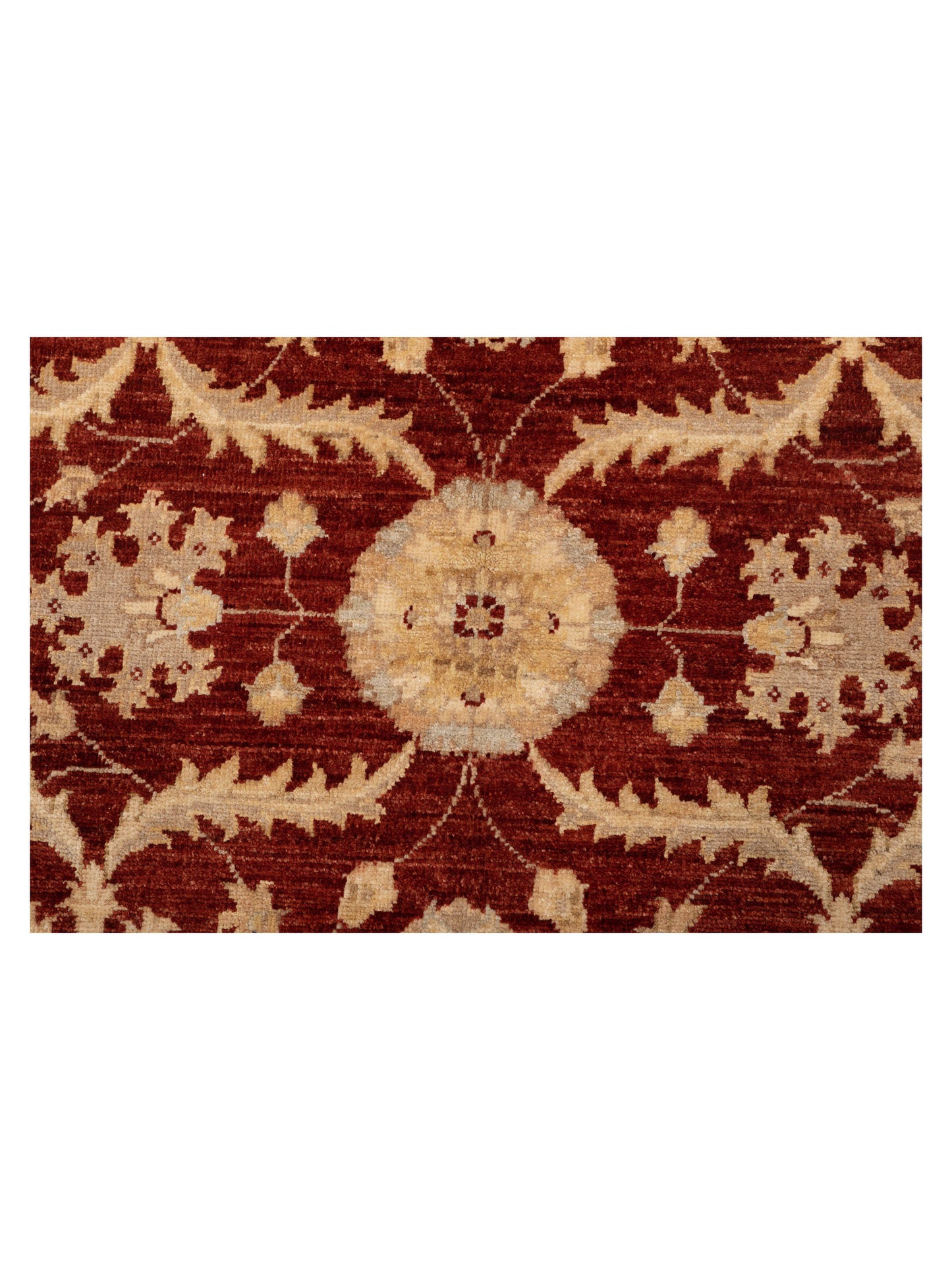 Sultan 117469 Red Ivory 8x9.11 Hand Knotted Rug