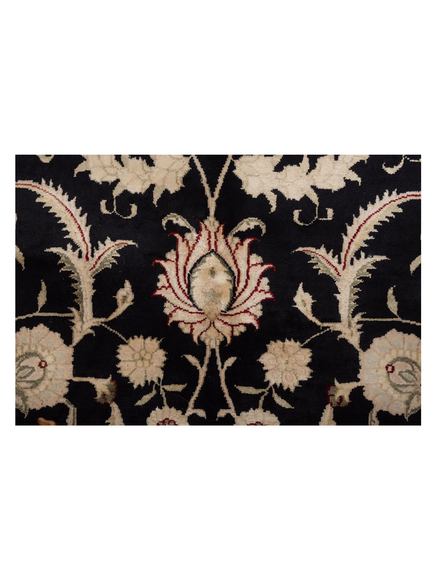 Pure Silk 117837 Black Ivory 9.1x12 Hand Knotted Rug