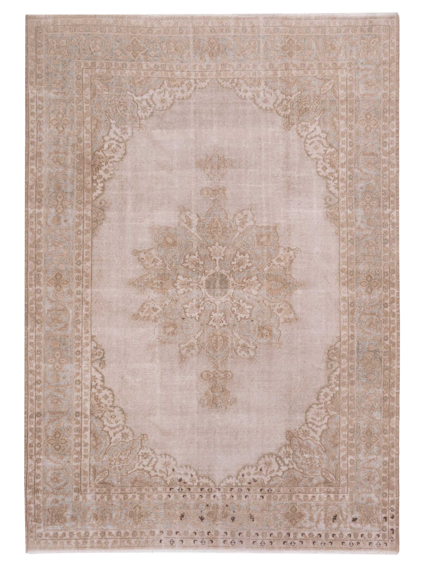 Pasha Vintage Ivory Green Transitional