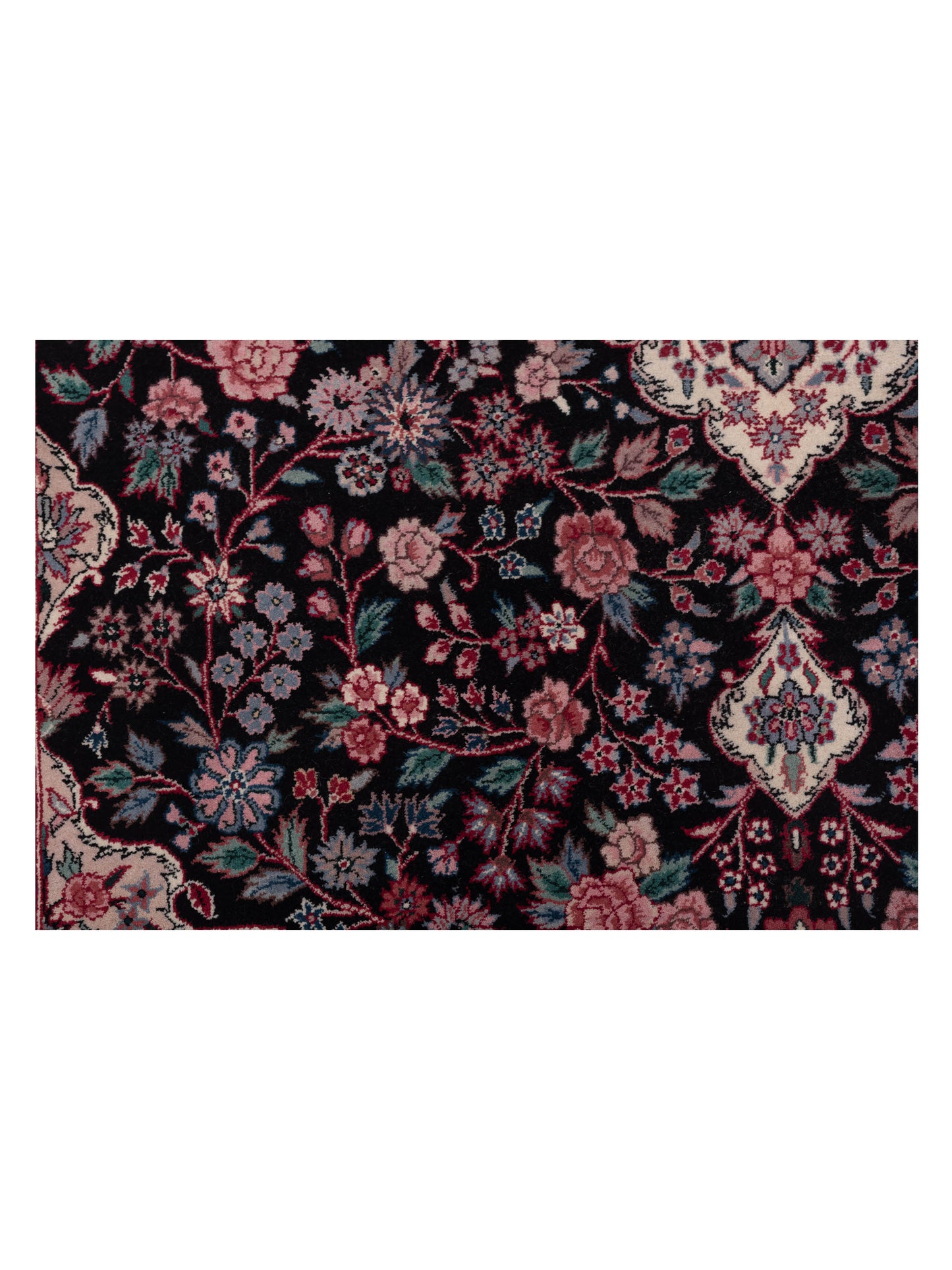 Magnolia 118394 Black Ivory 6x9 Hand Knotted Rug