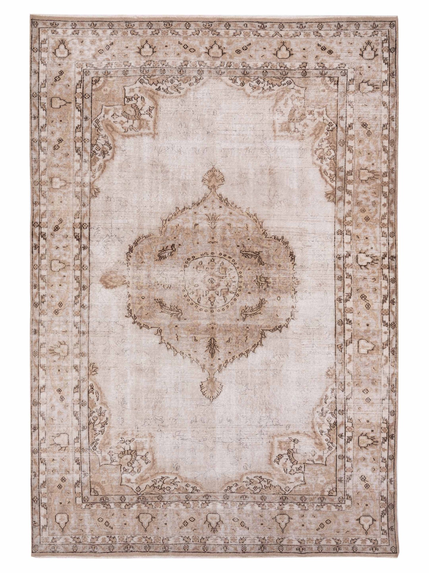 Pasha Vintage Beige Transitional