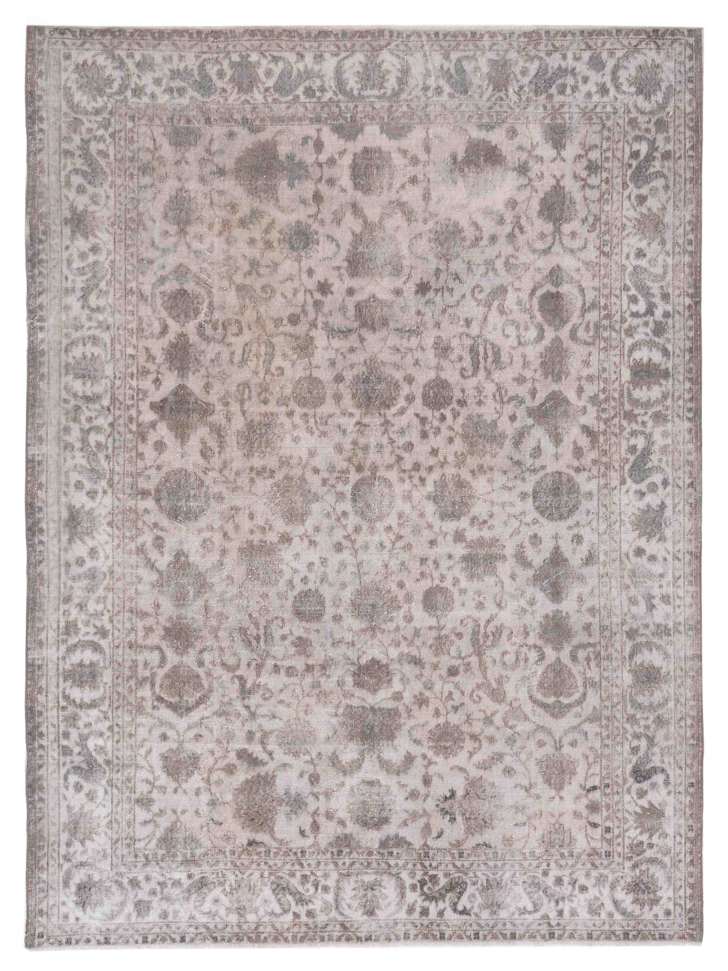 Pasha Vintage Light Gray Transitional