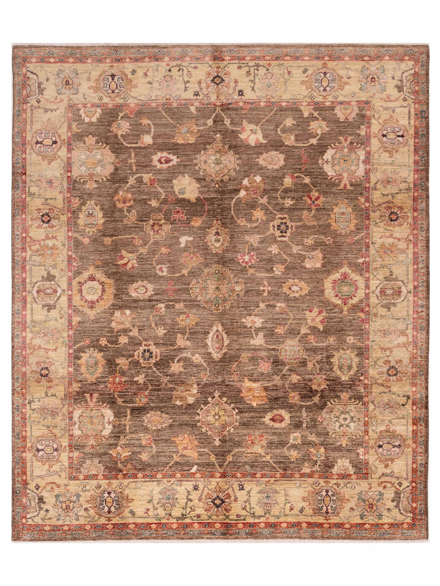 Pasha Elvan Brown Gold Traditional