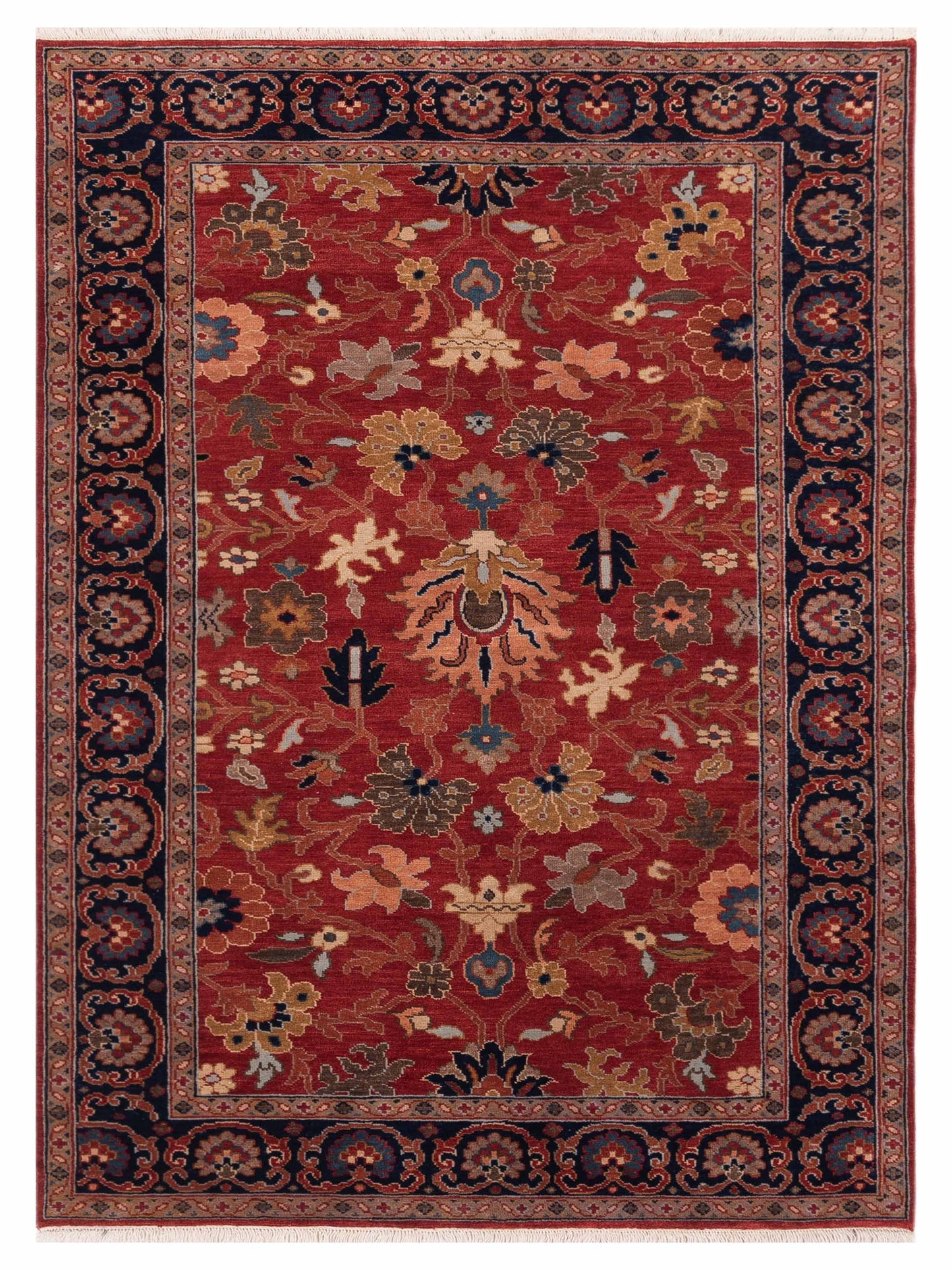 Rajpur Crown Red Navy Transitional