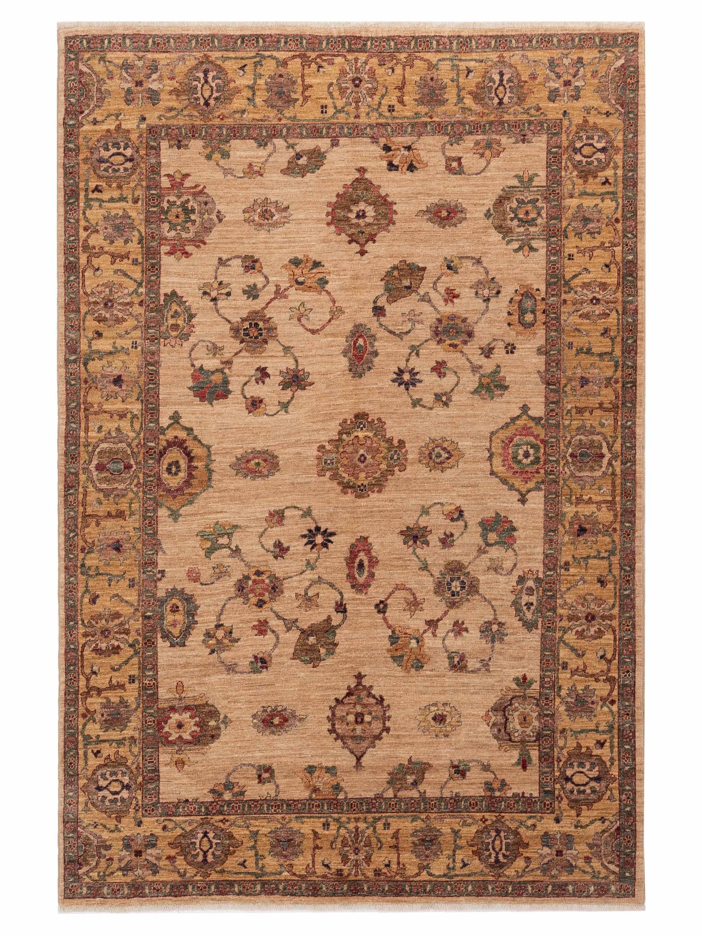 Pasha Elvan  Green Green Traditional