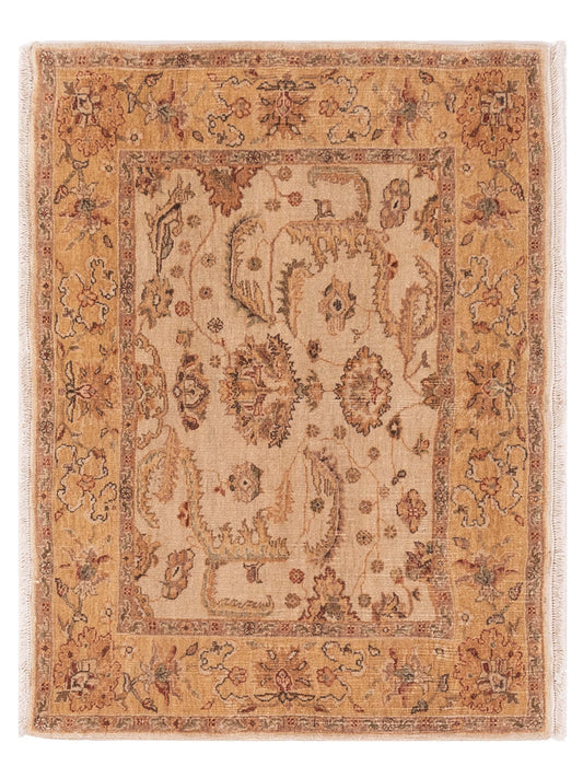 Pasha Firuze  Ivory Gold Traditional