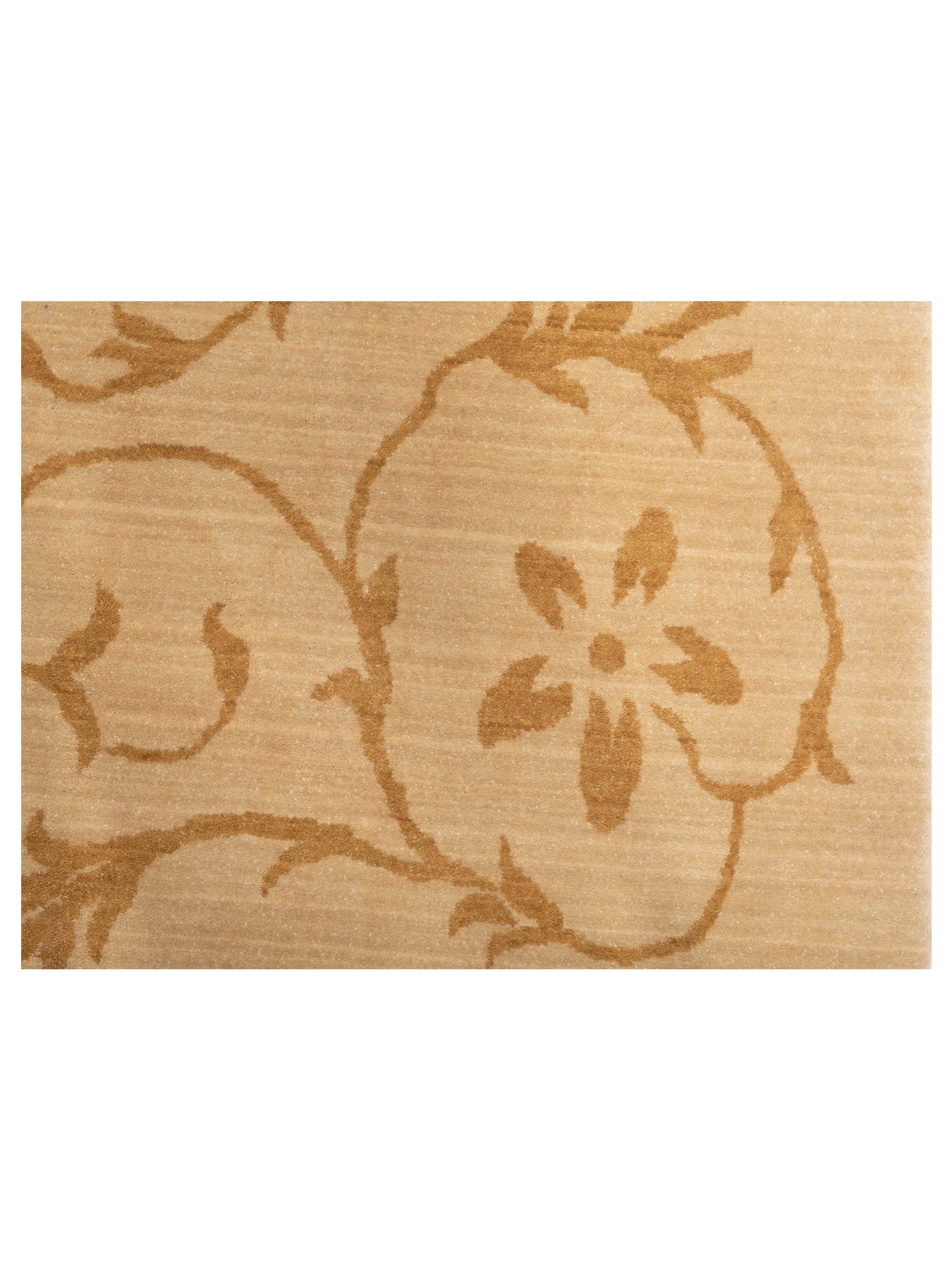 Alara 147263 Beige Gold 6.7x9.10 Machine Made Rug