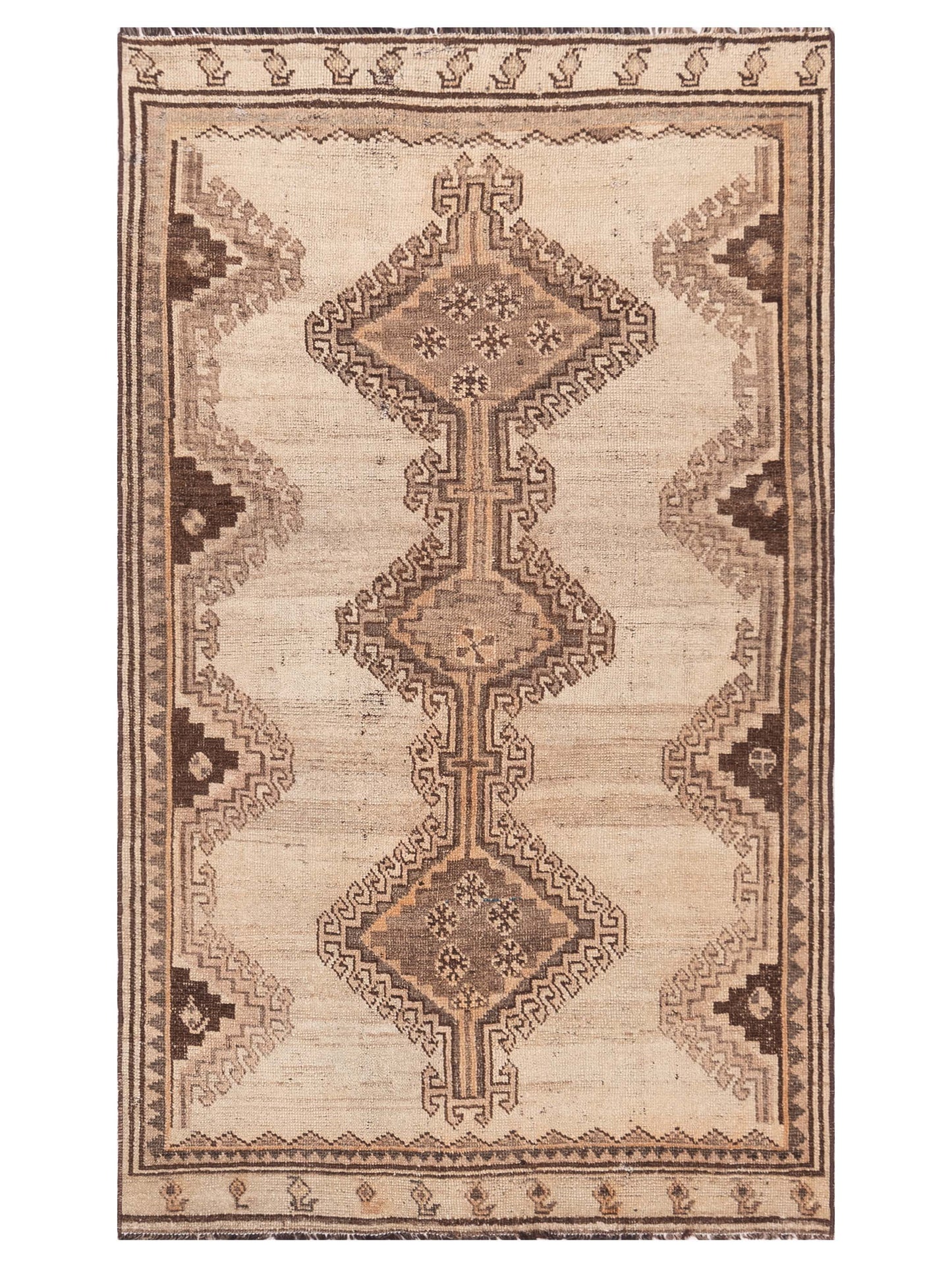 Pasha Antique Heirloom Beige Brown Traditional