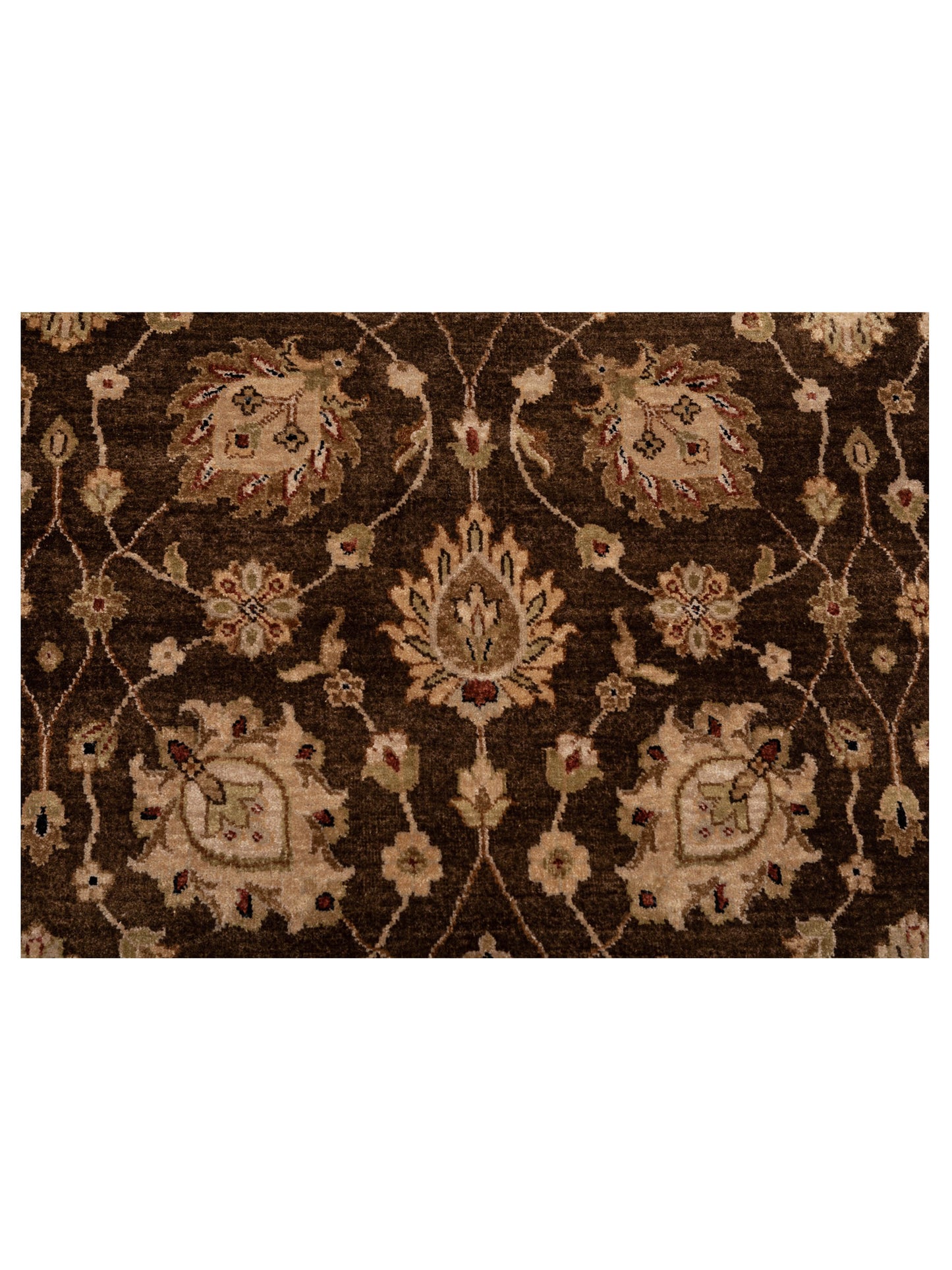 Ghazani 147754 Brown Ivory 7.11x9.10 Hand Knotted Rug