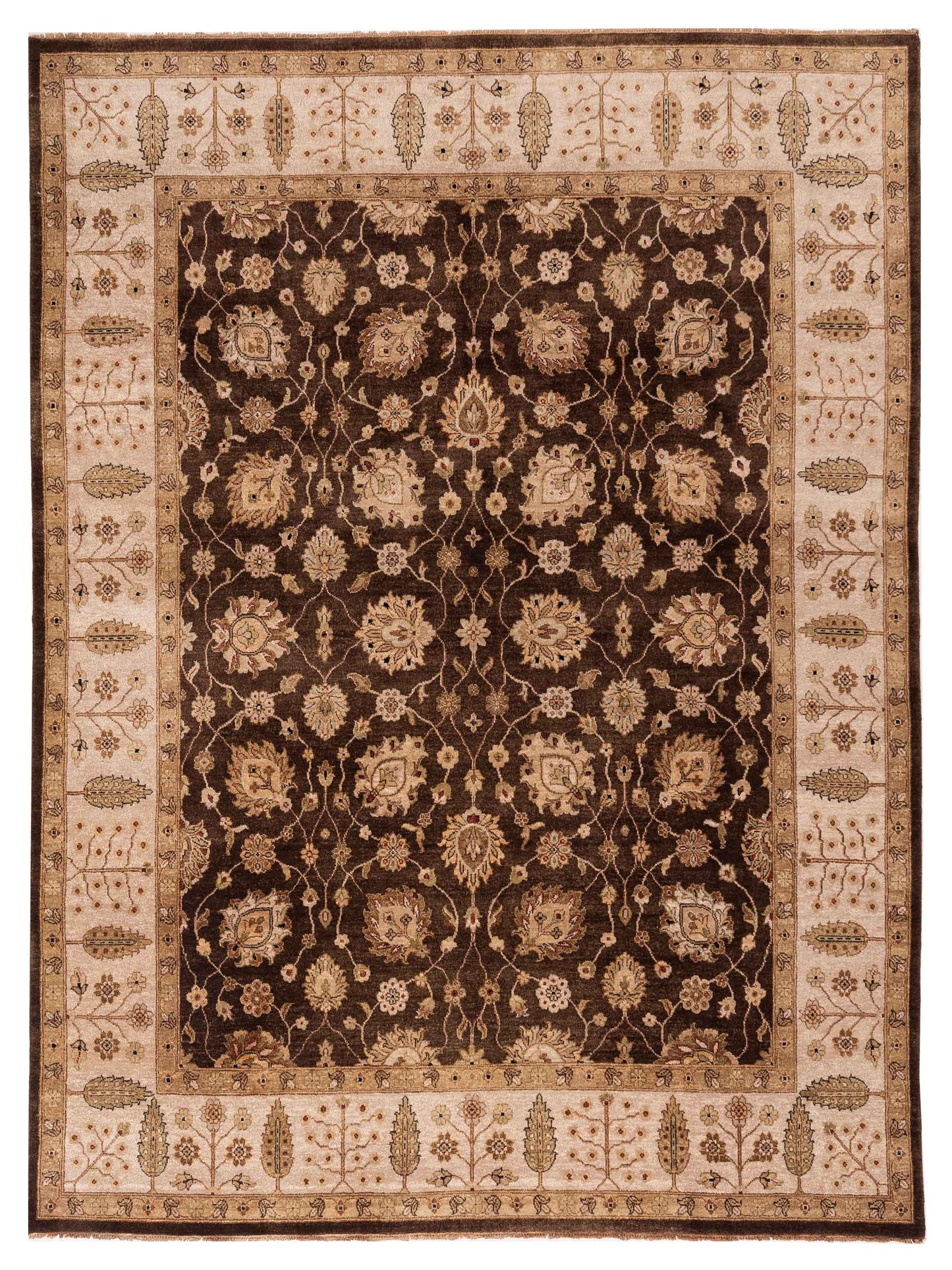 Rajpur Ghazani Brown Ivory Transitional