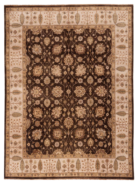 Rajpur Ghazani  Brown Ivory Transitional