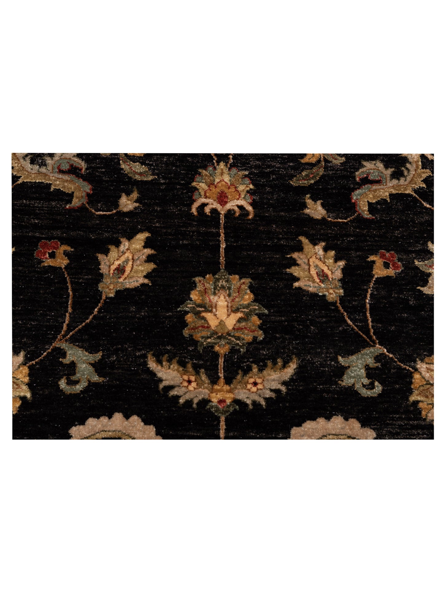 Ghazani 147840 Black Ivory 7.11x9.8 Hand Knotted Rug