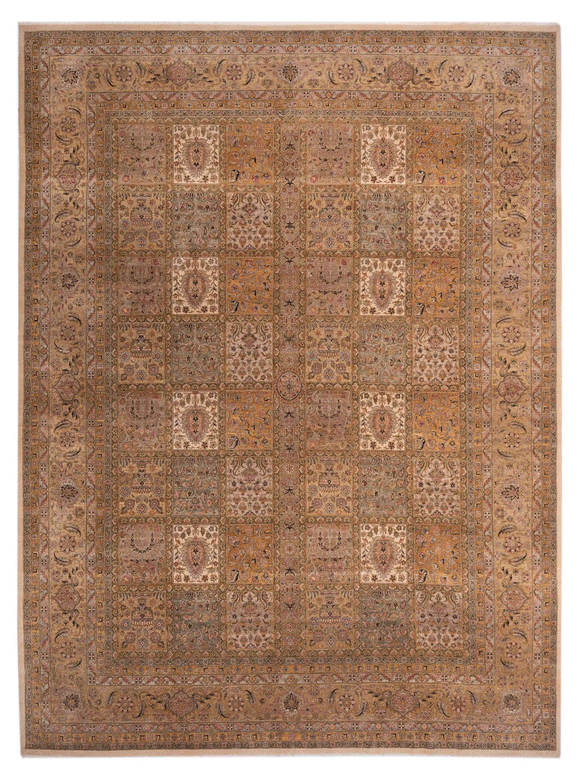Rajpur Ghazani  Multi Multi Transitional