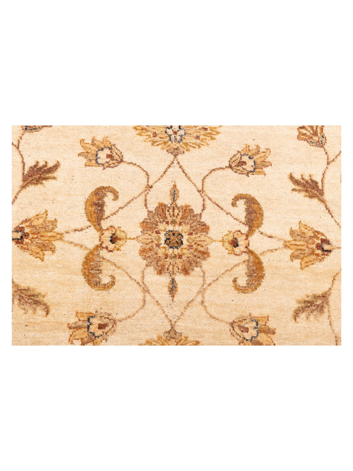 Ghazani 148310 Ivory Light Brown 9x11.8 Hand Knotted Rug