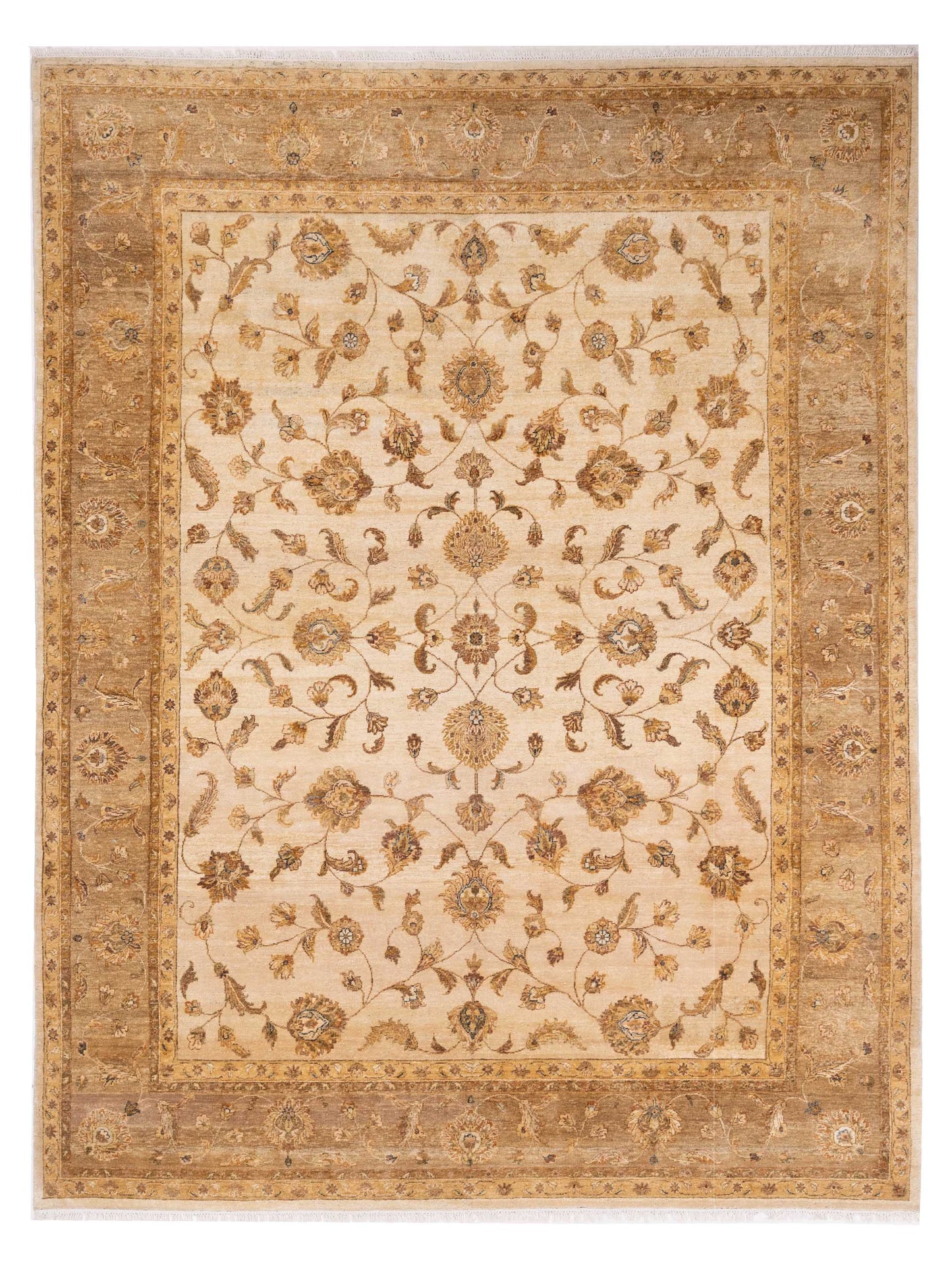 Rajpur Ghazani Ivory Light Brown Transitional