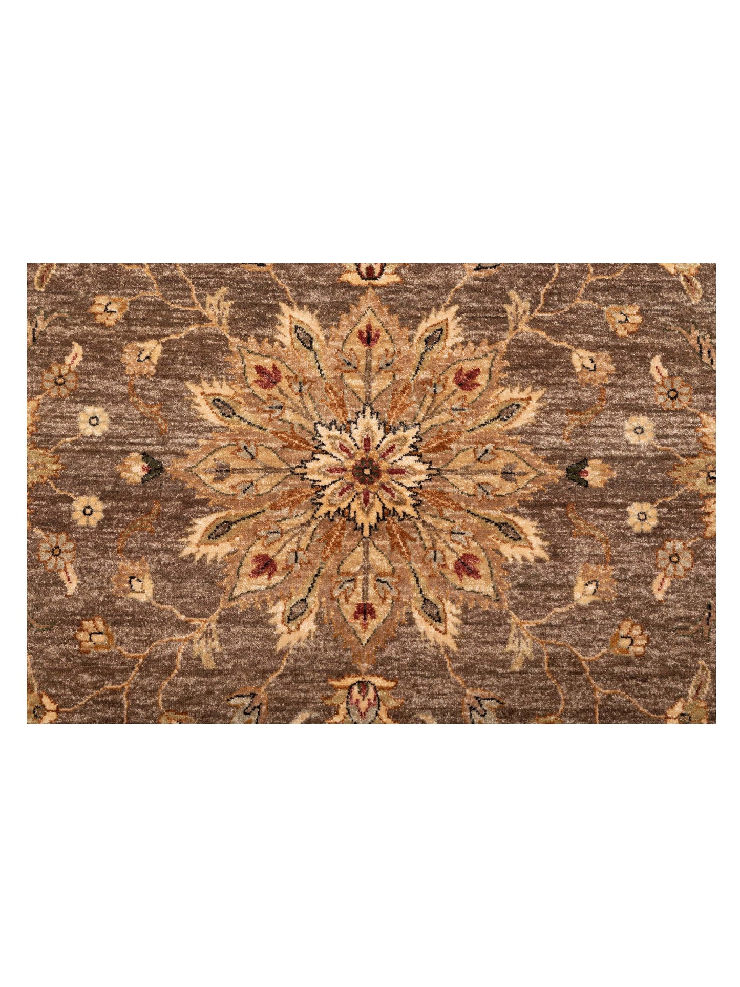 Ghazani 148312 Brown Ivory 8.11x11.9 Hand Knotted Rug