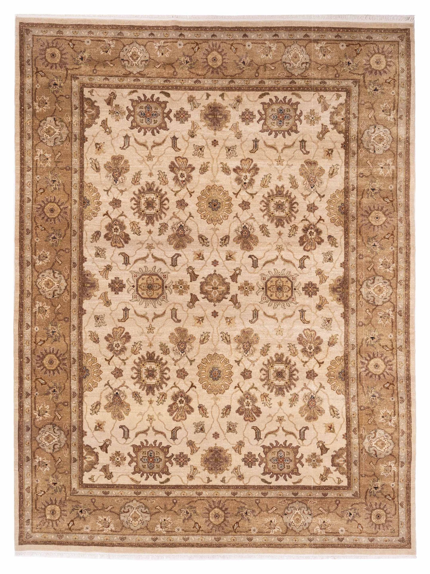 Rajpur Ghazani Ivory Gold Transitional
