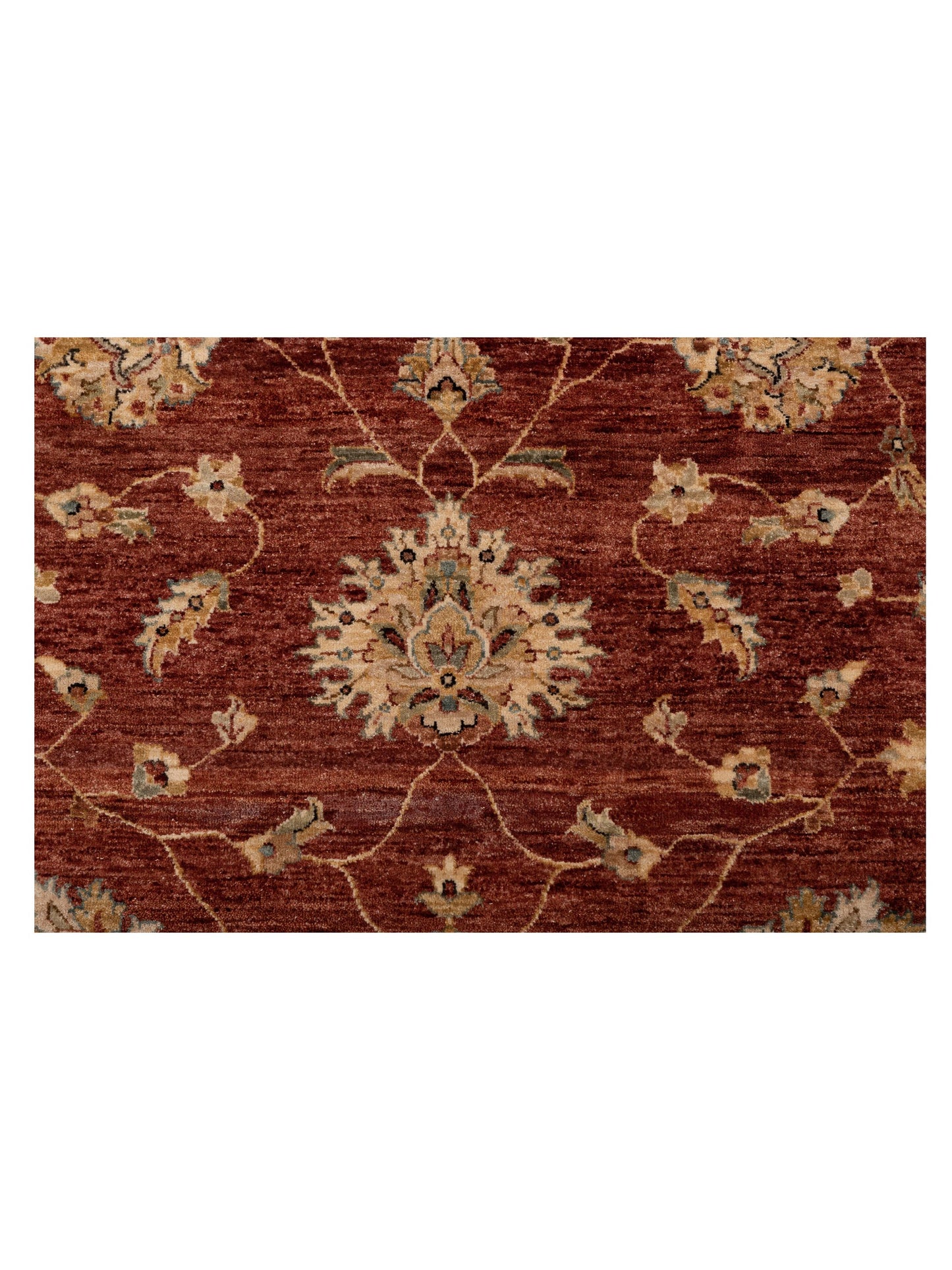 Ghazani 148315 Rust Ivory 8.11x11.9 Hand Knotted Rug