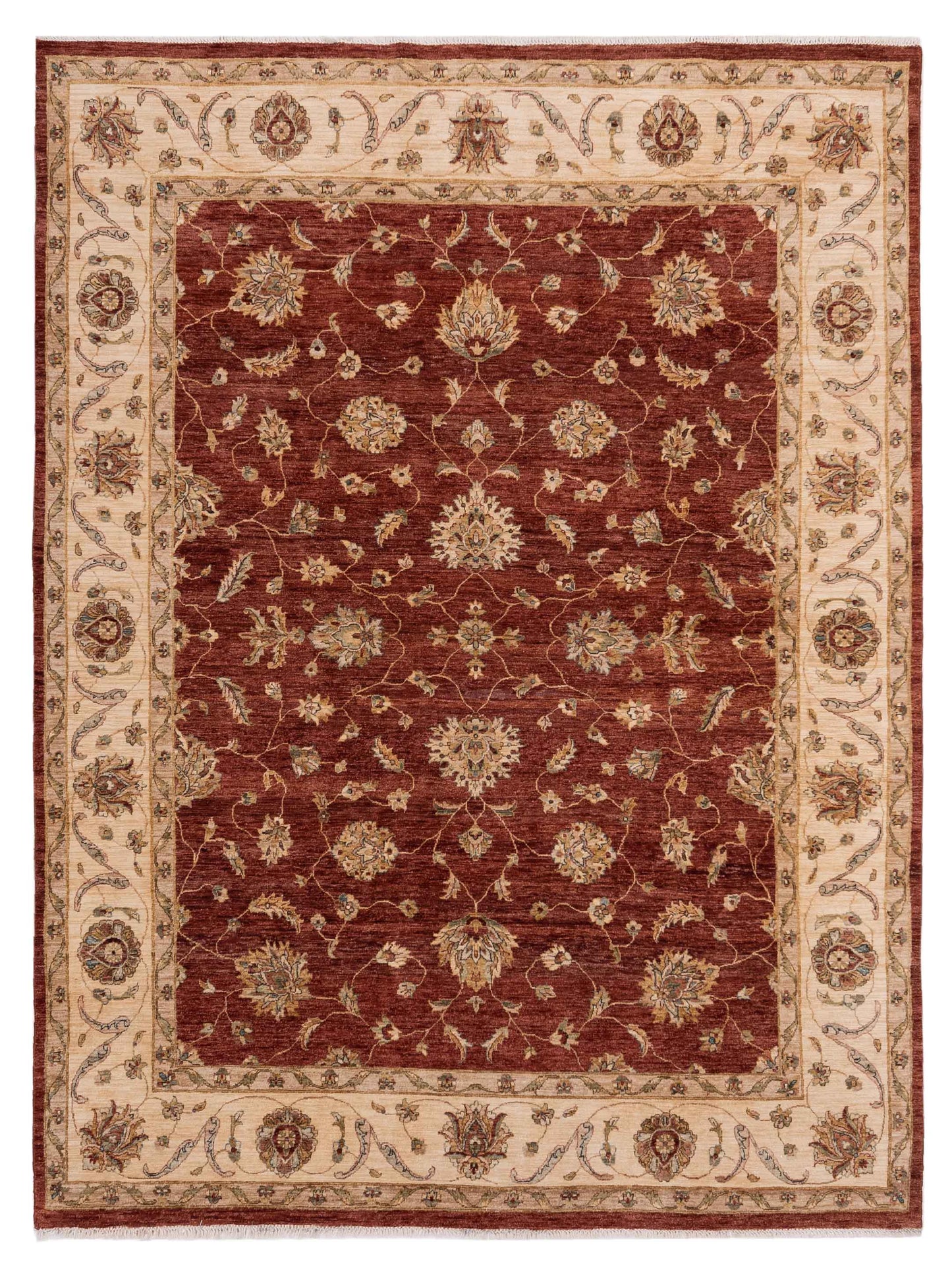 Rajpur Ghazani Rust Ivory Transitional