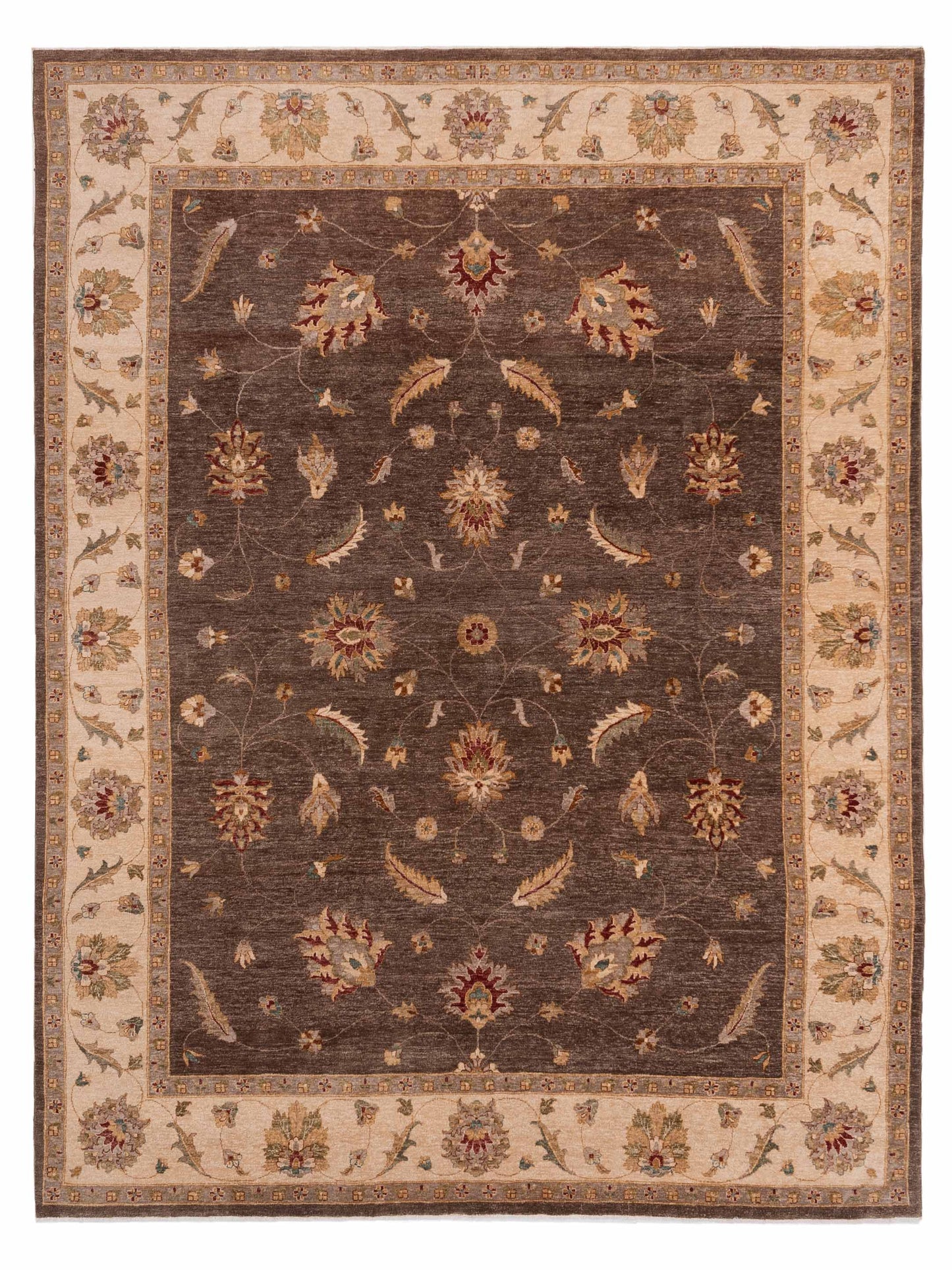 Rajpur Ghazani Brown Ivory Transitional