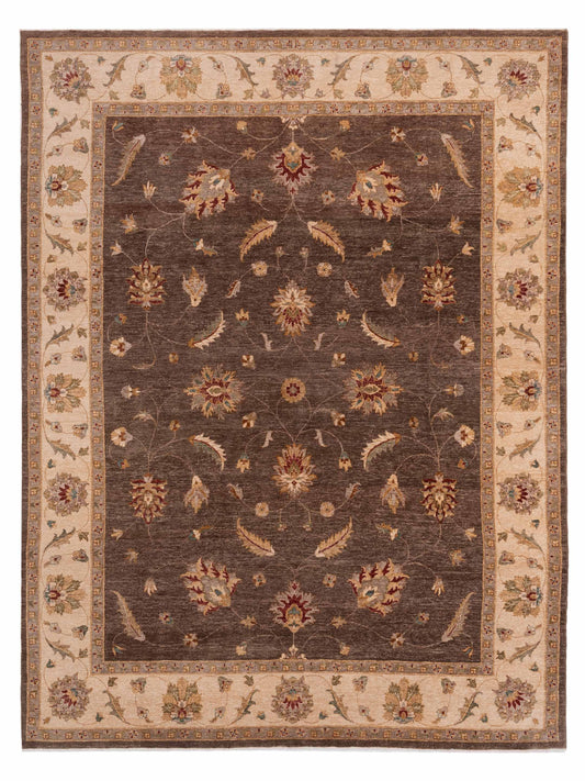 Rajpur Ghazani  Brown Ivory Transitional