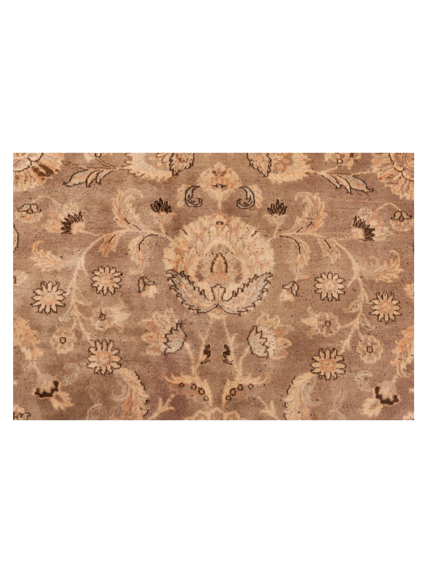 Crown 148317 Brown Beige 9.1x12.2 Hand Knotted Rug