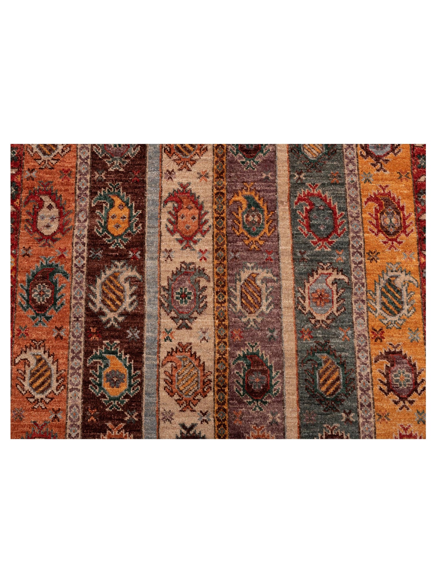 Elvan Argun Multi Multi 3.11x6.1 Hand Knotted Rug