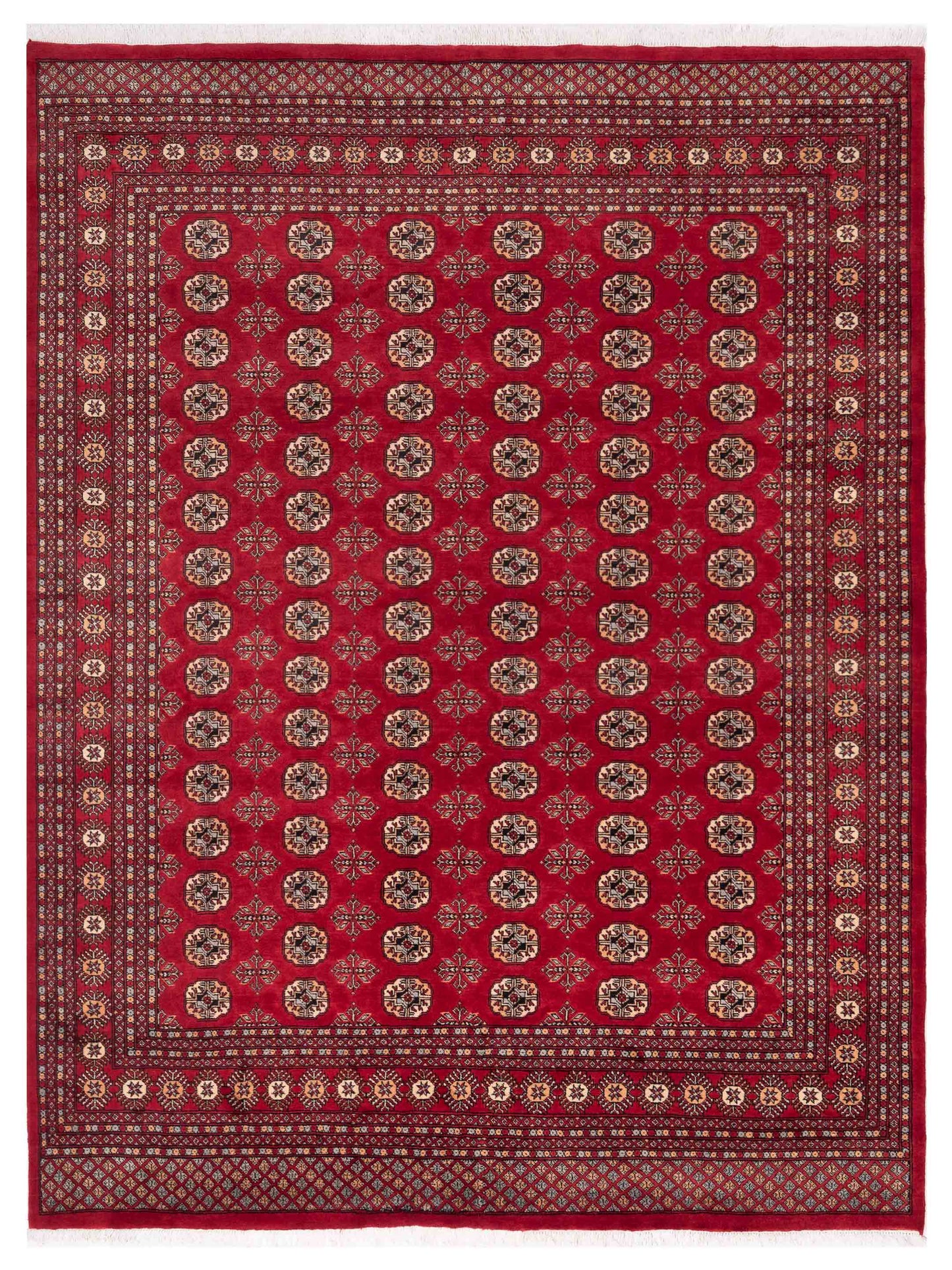 Nomad Bokhara Red Red Traditional