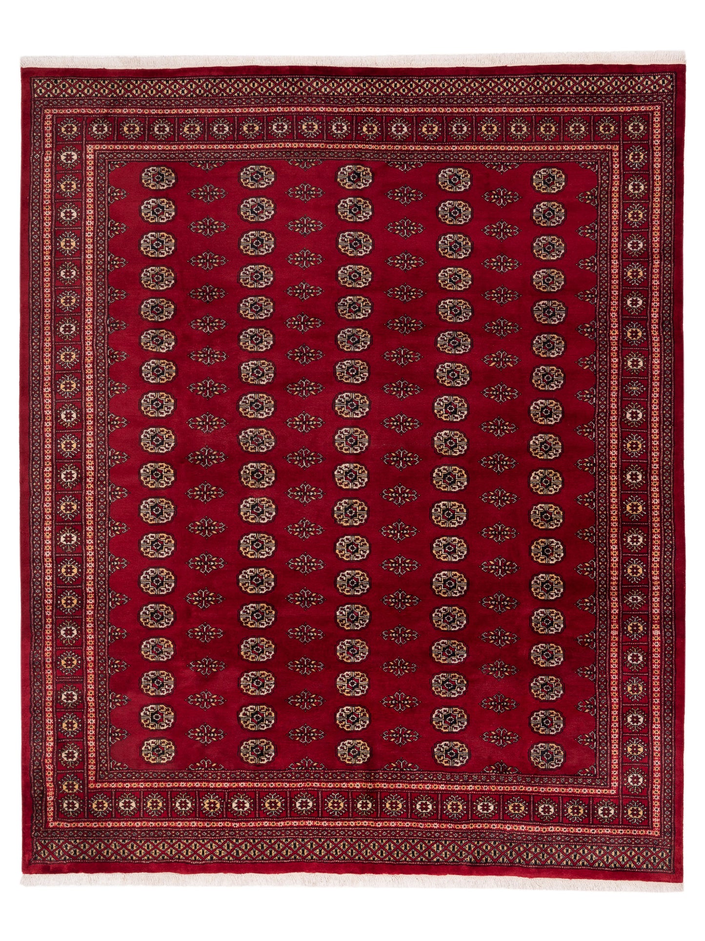 Nomad Bokhara Red Red Traditional