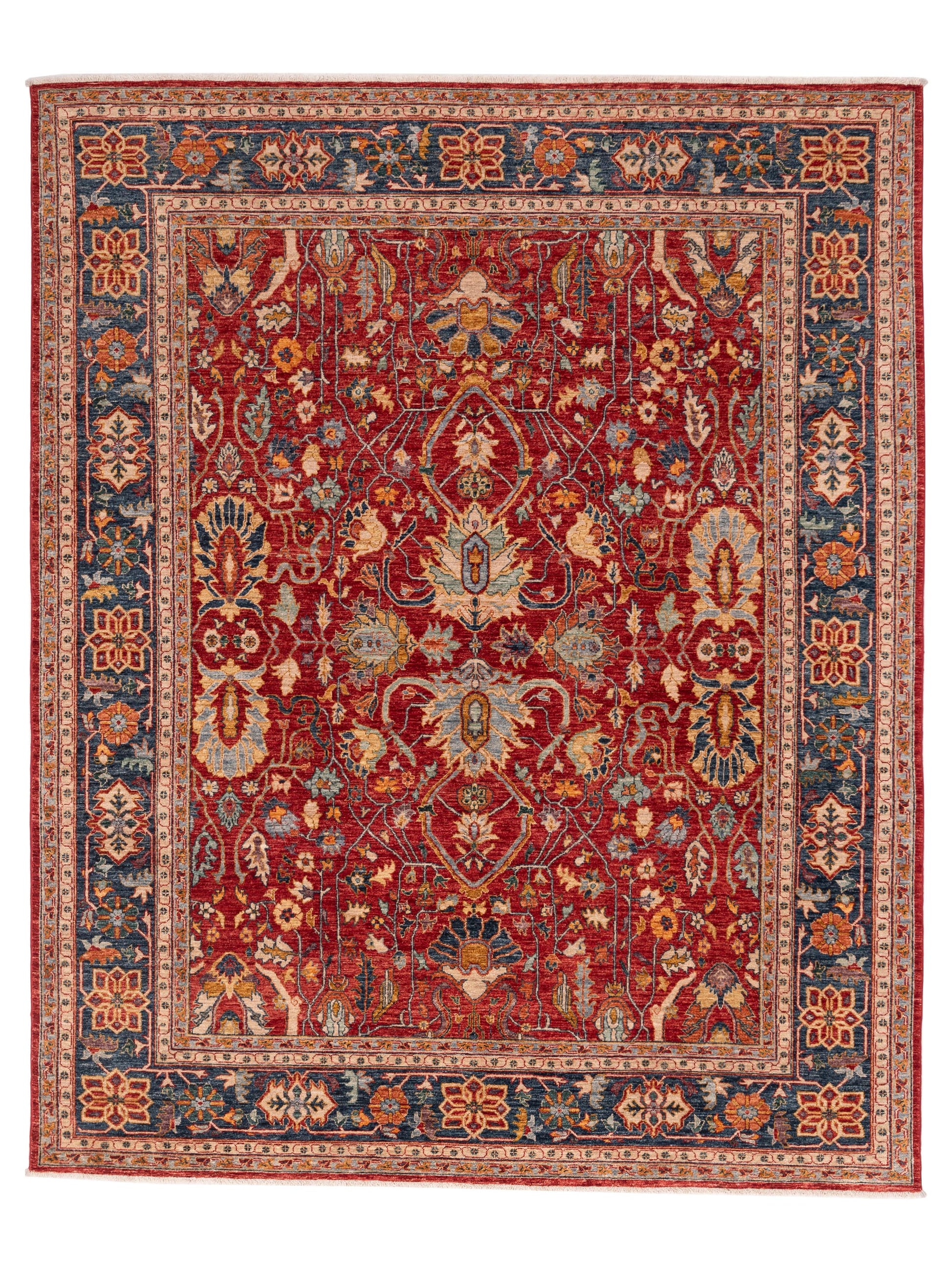 Pasha Elvan  Red Navy Traditional