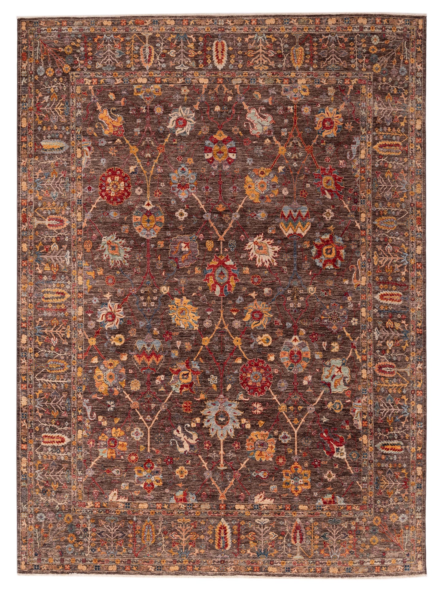 Pasha Elvan Brown Brown Transitional