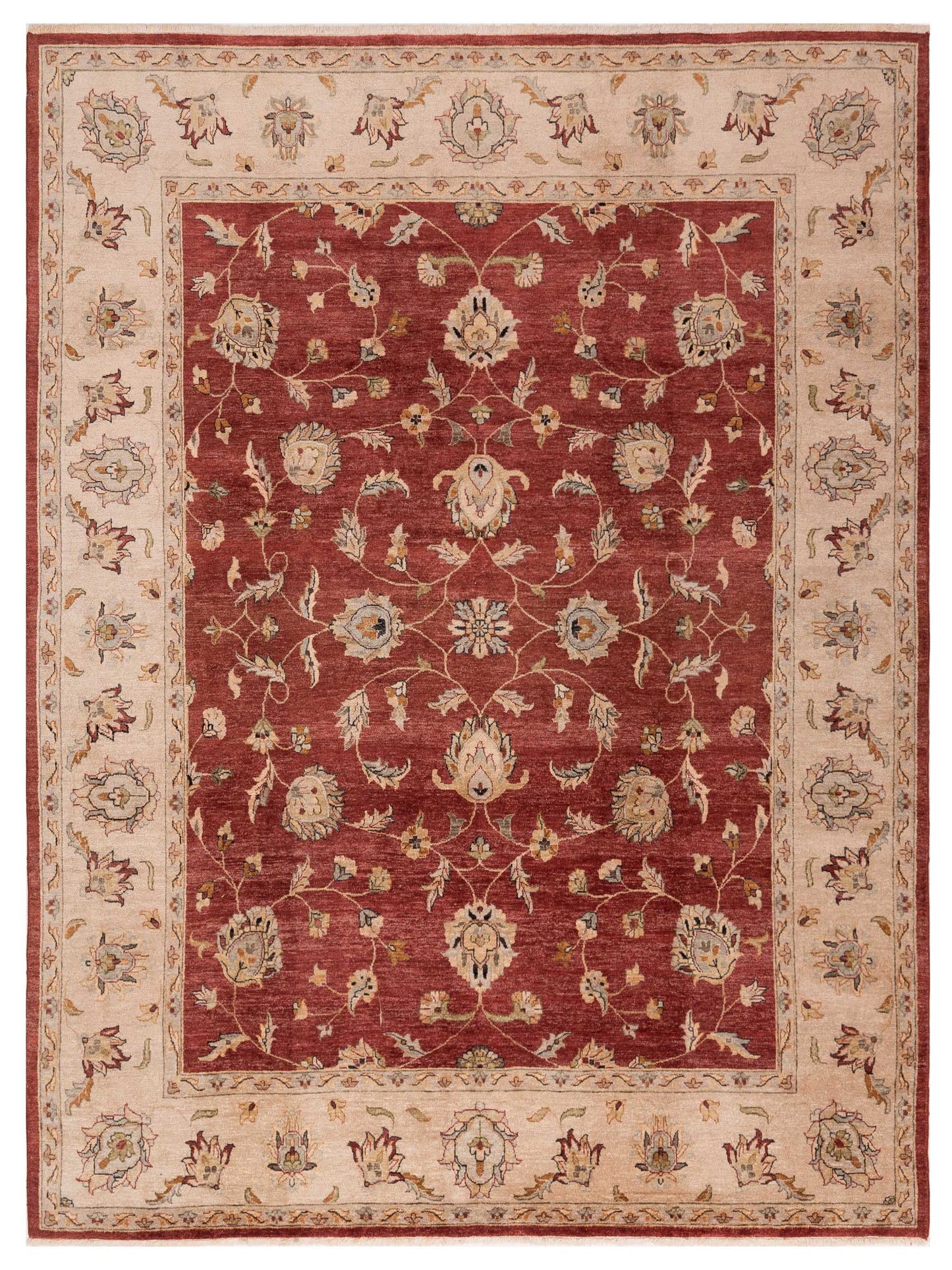 Rajpur Ghazani Red Ivory Traditional