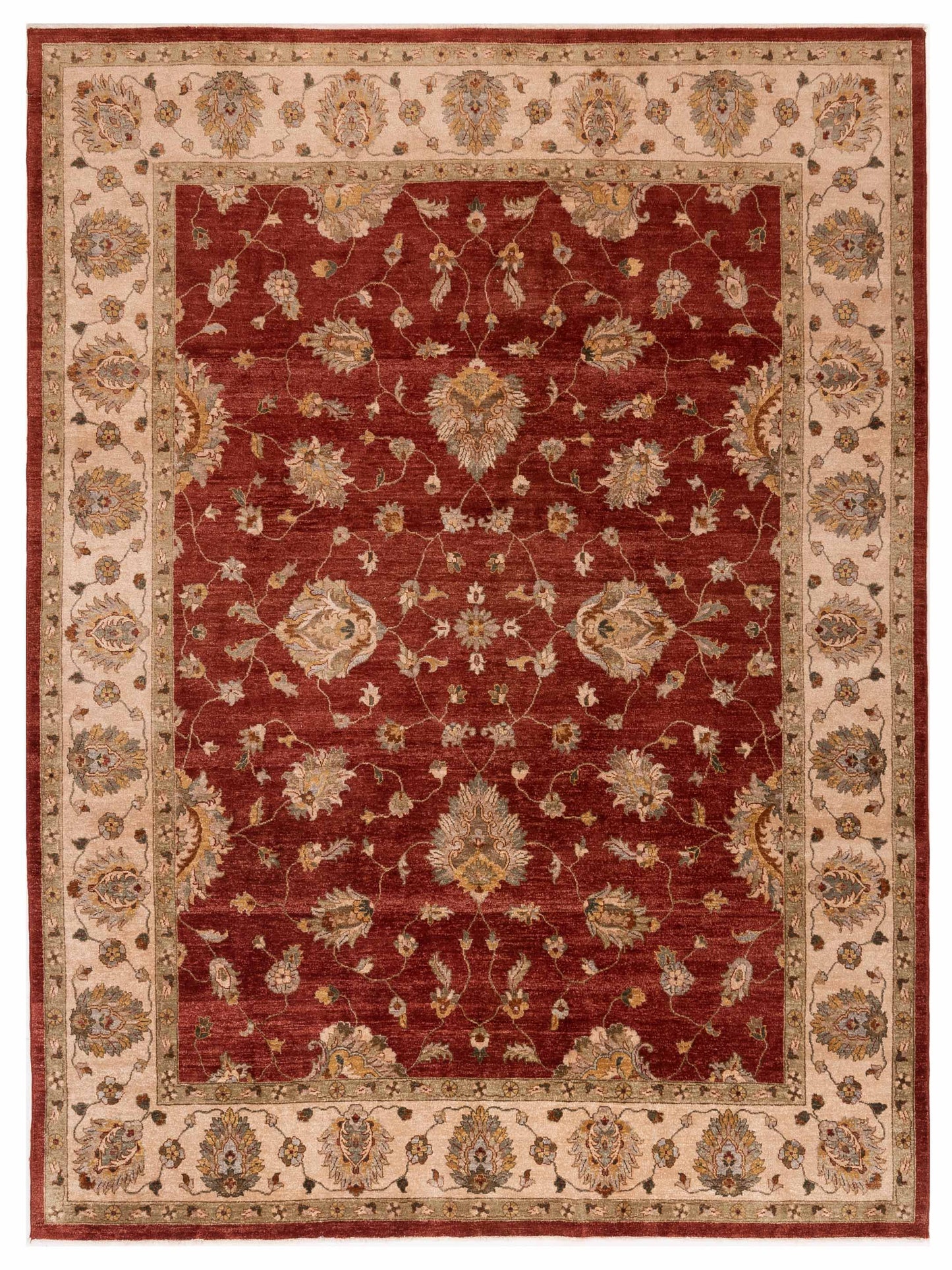 Rajpur Ghazani Red Ivory Traditional