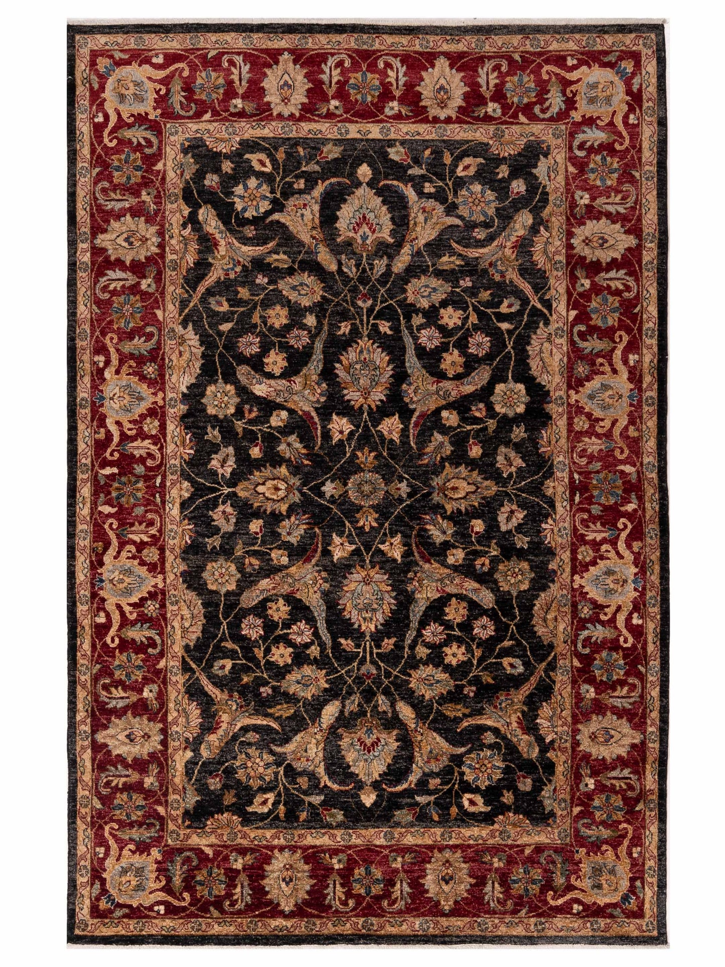Rajpur Ghazani Black Red Traditional