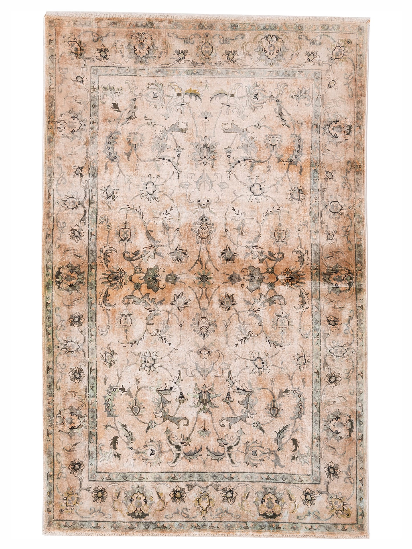 Rajpur Imperial Beige Beige Transitional