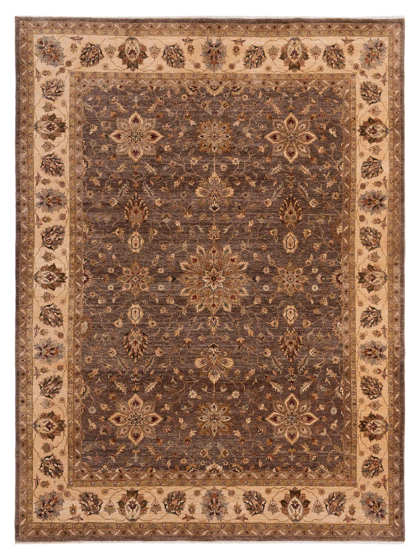 Rajpur Ghazani Brown Ivory Transitional