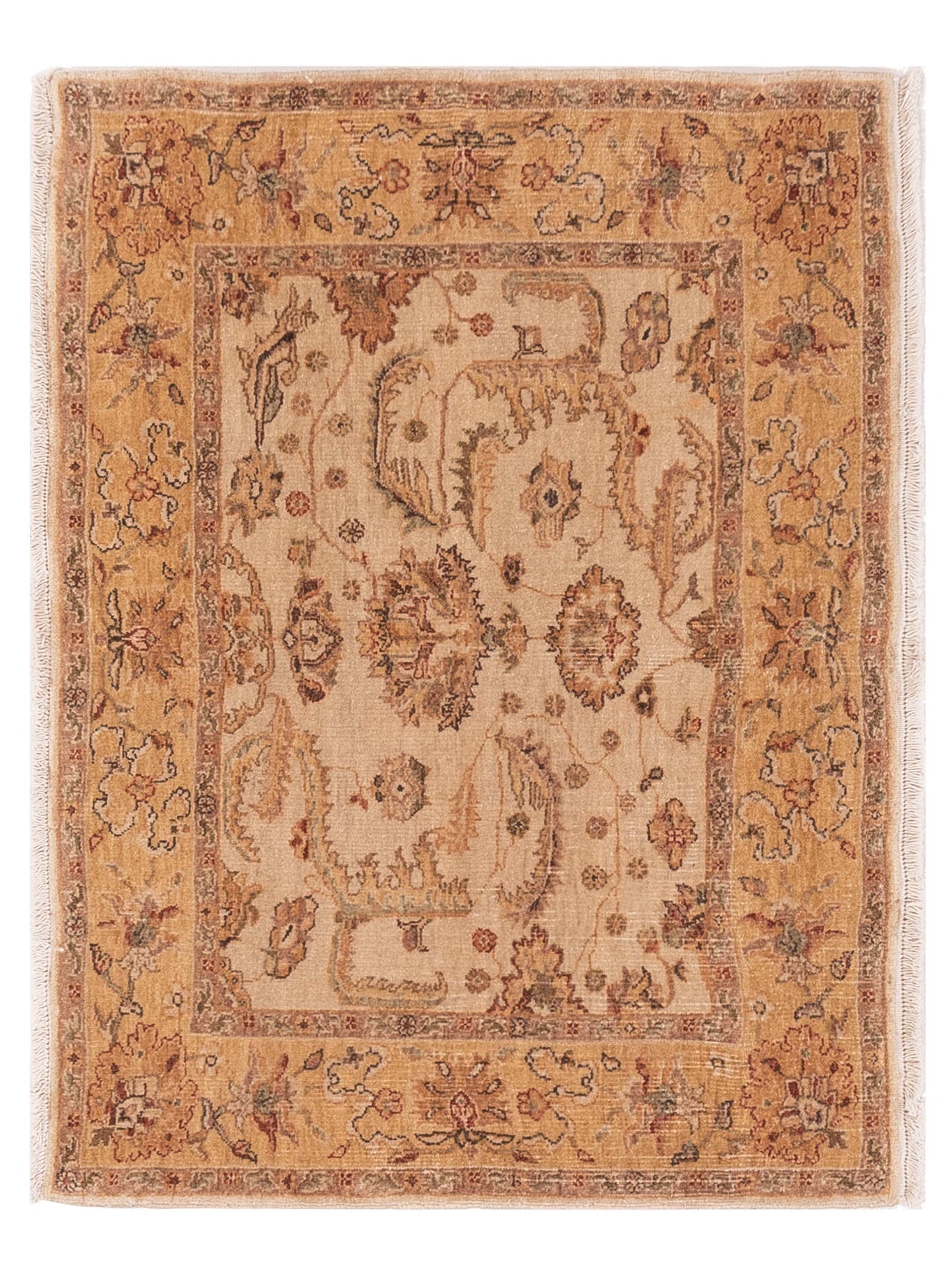Pasha Firuze Ivory Gold Traditional