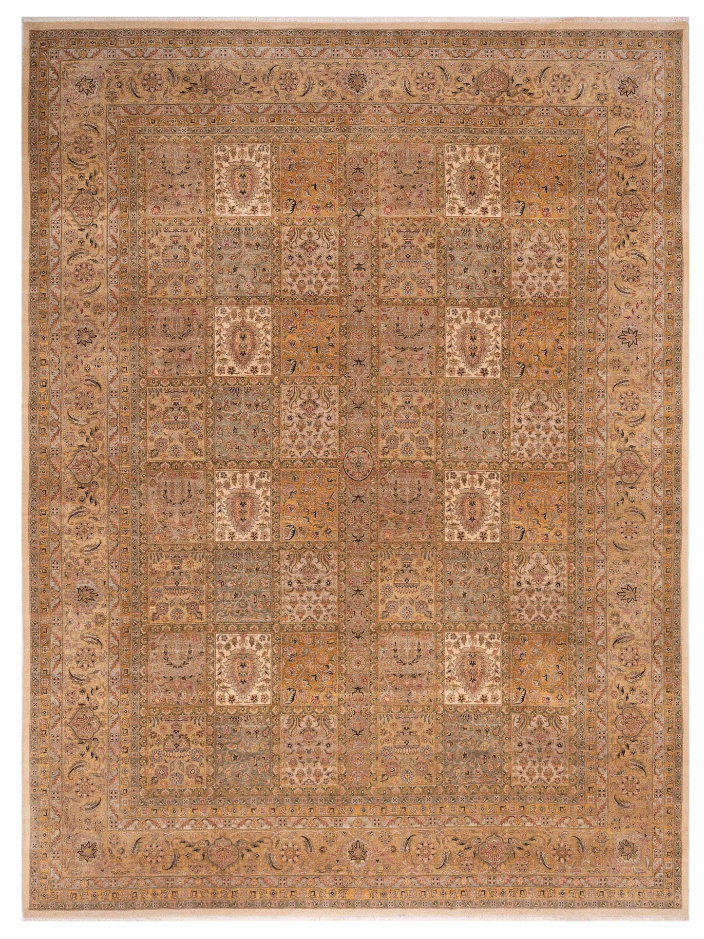 Rajpur Ghazani Multi Multi Transitional