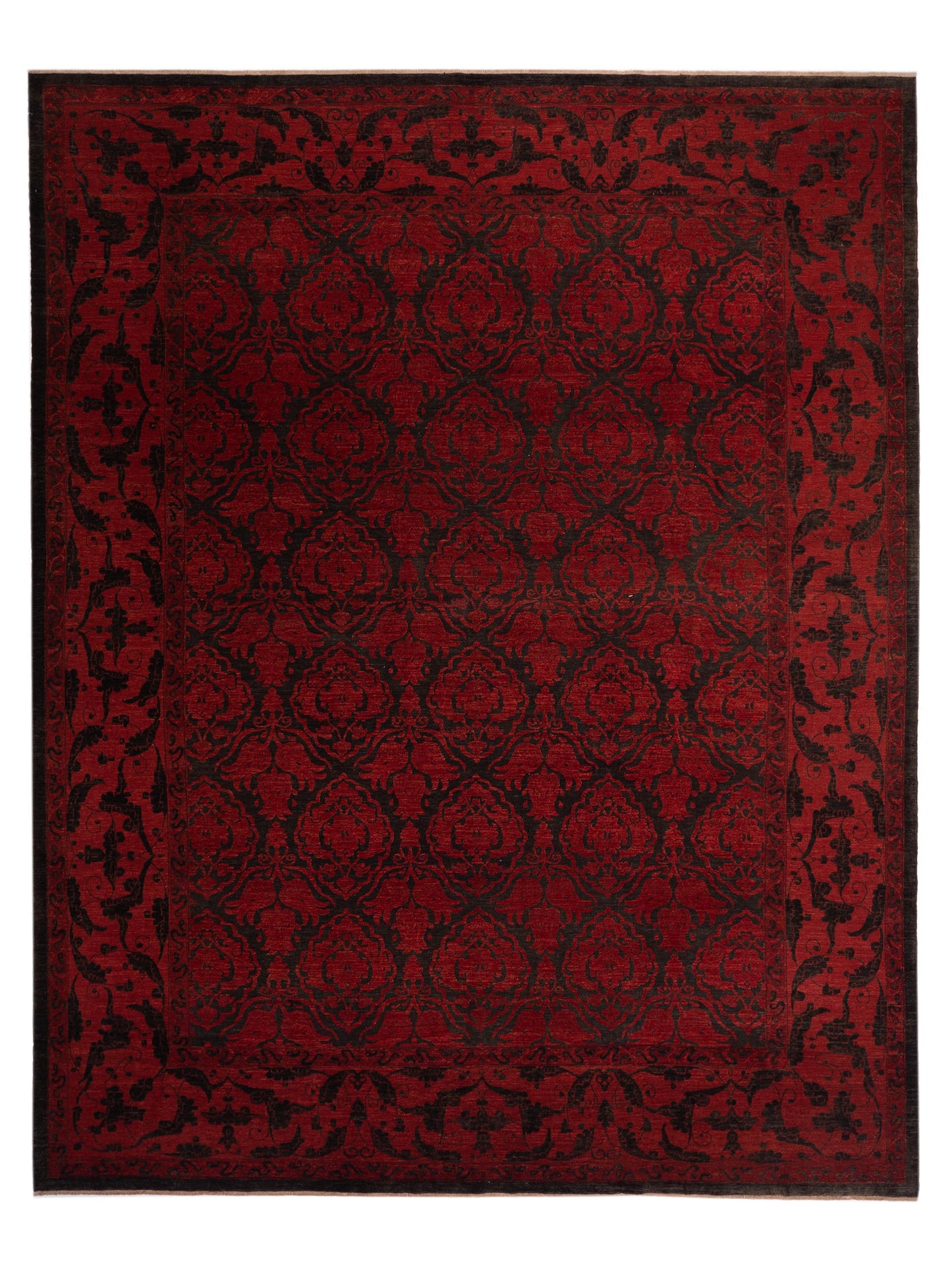 Pasha Defne Black Red Transitional