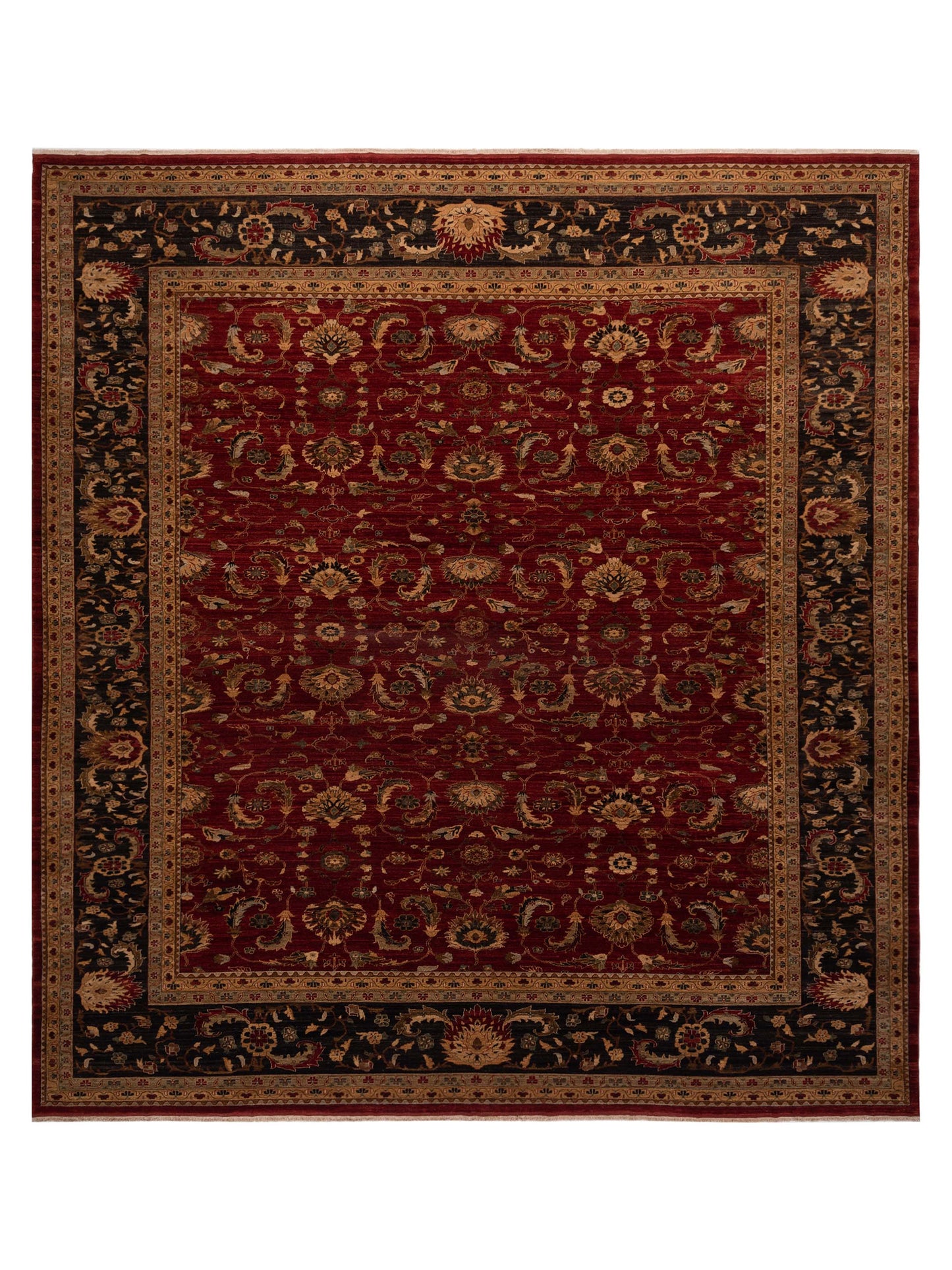 Pasha Narin Red Black Traditional