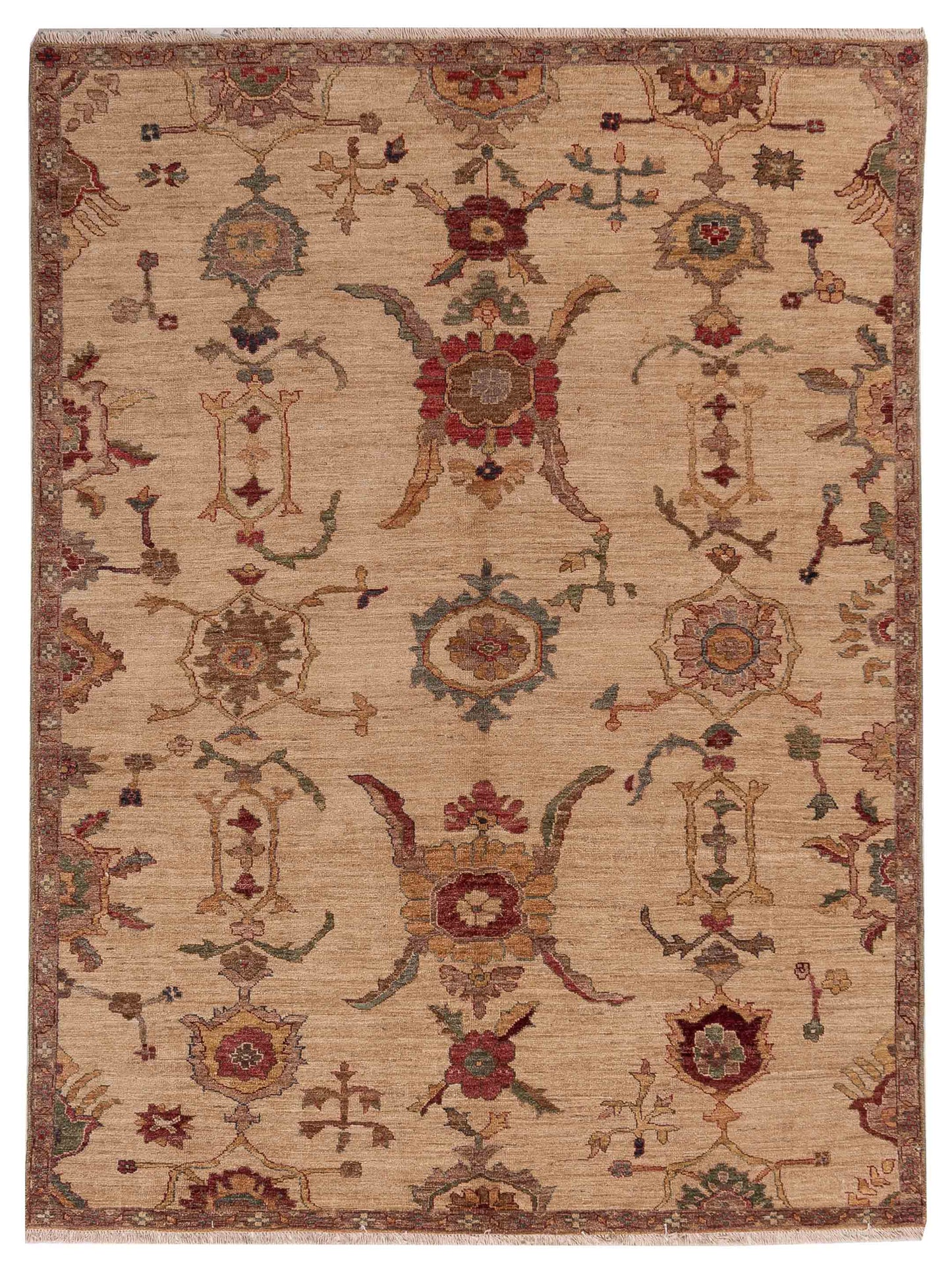 Pasha Elvan Ivory Ivory Transitional