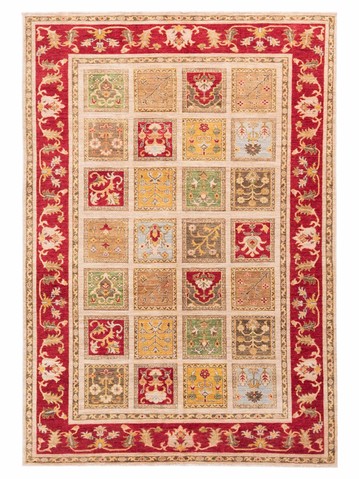 Pasha Sultan Multi Tribal