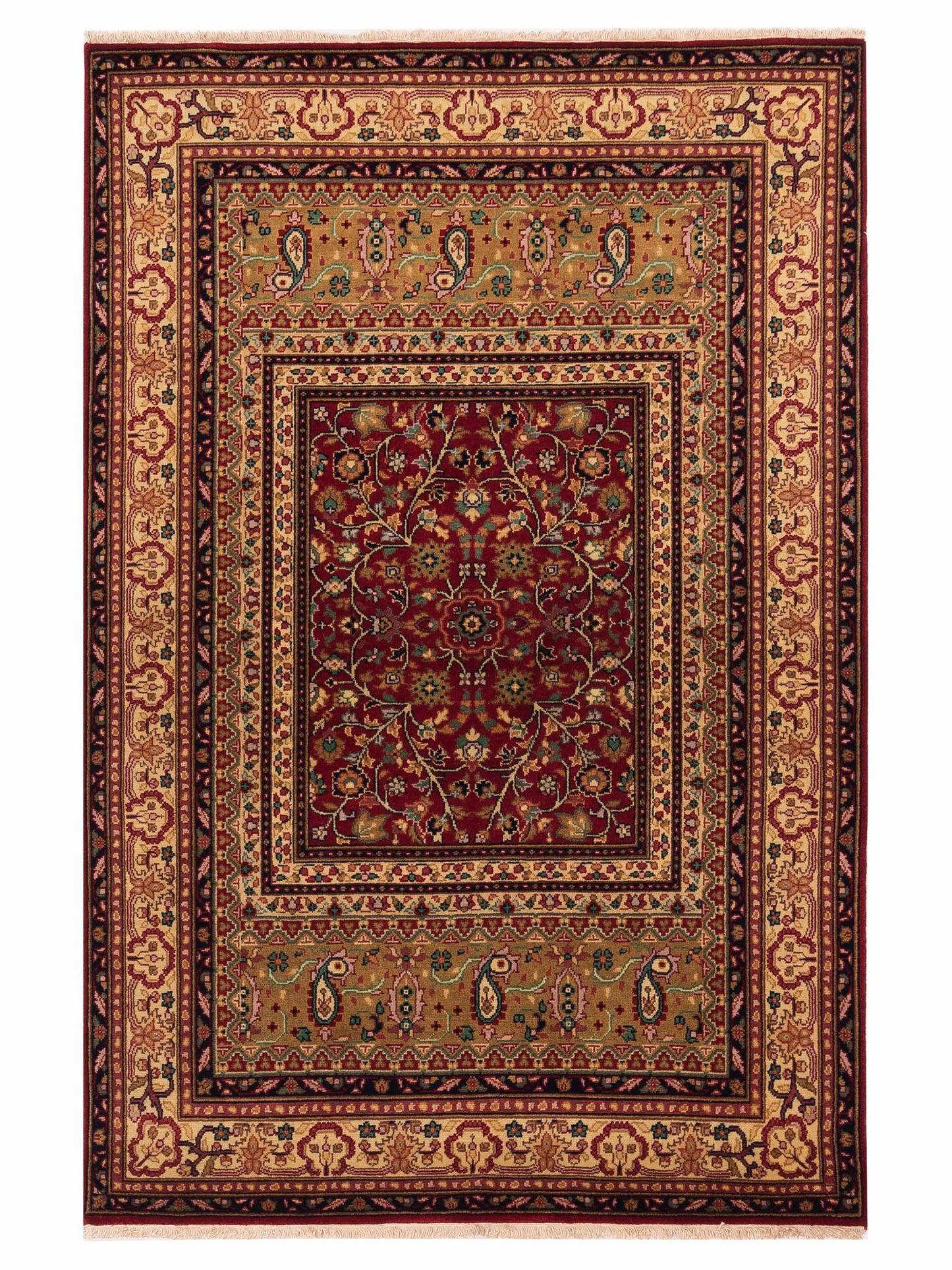 Rajpur Sivas Red Ivory Traditional