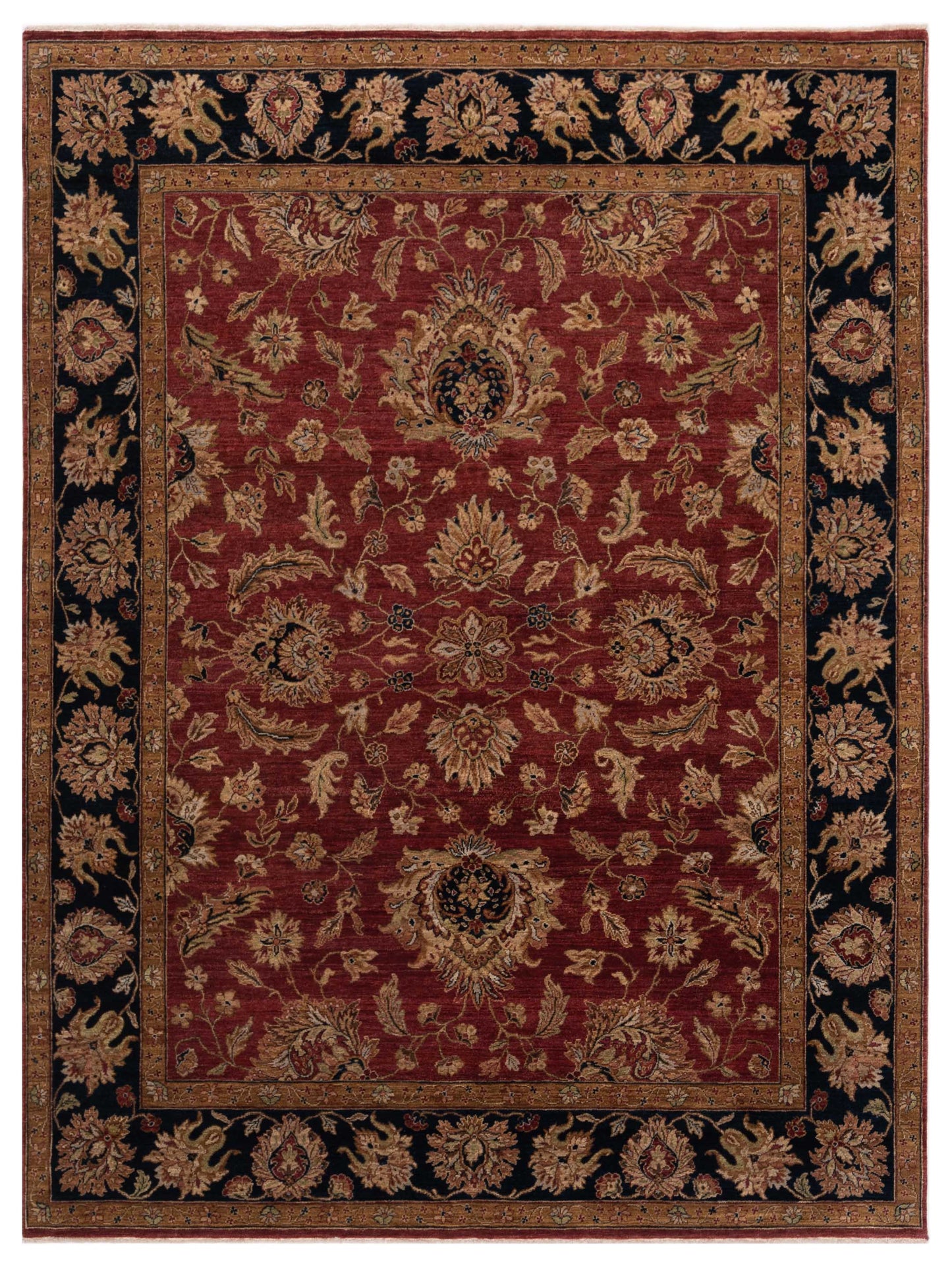 Rajpur Crown Red Black Transitional