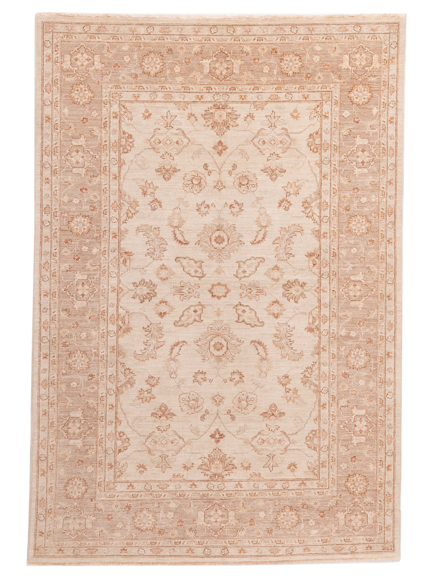 Nomad Laila Ivory Brown Transitional