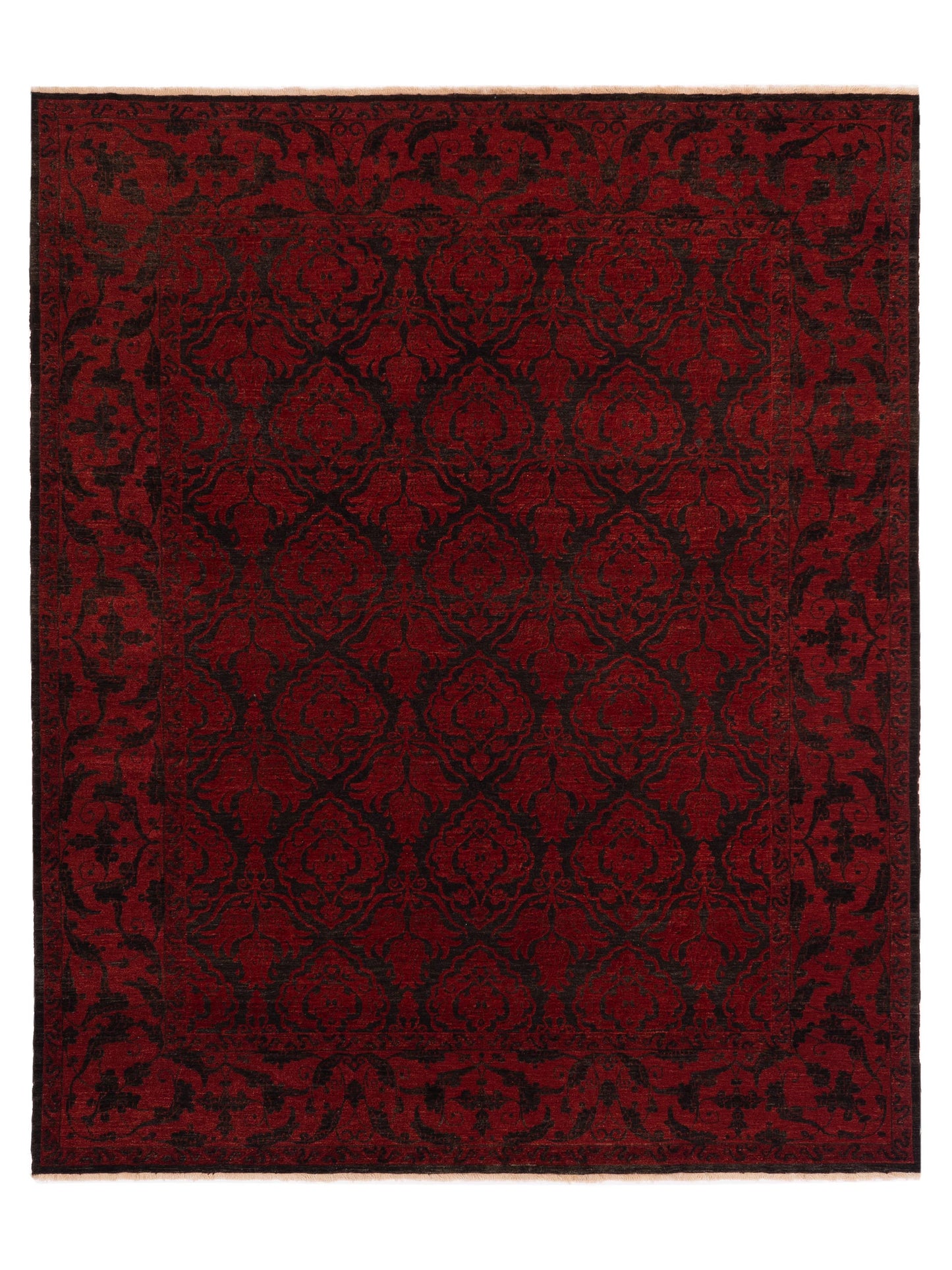 Pasha Defne Charcoal Red Transitional