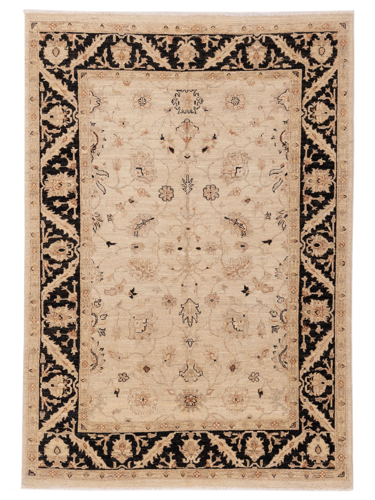 Nomad Laila Ivory Black Transitional